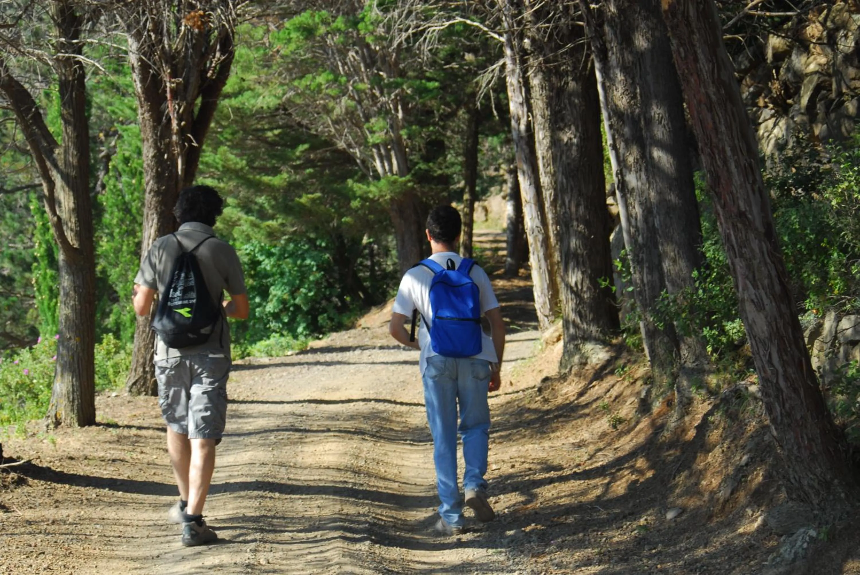 Hiking in Eoliano B&B