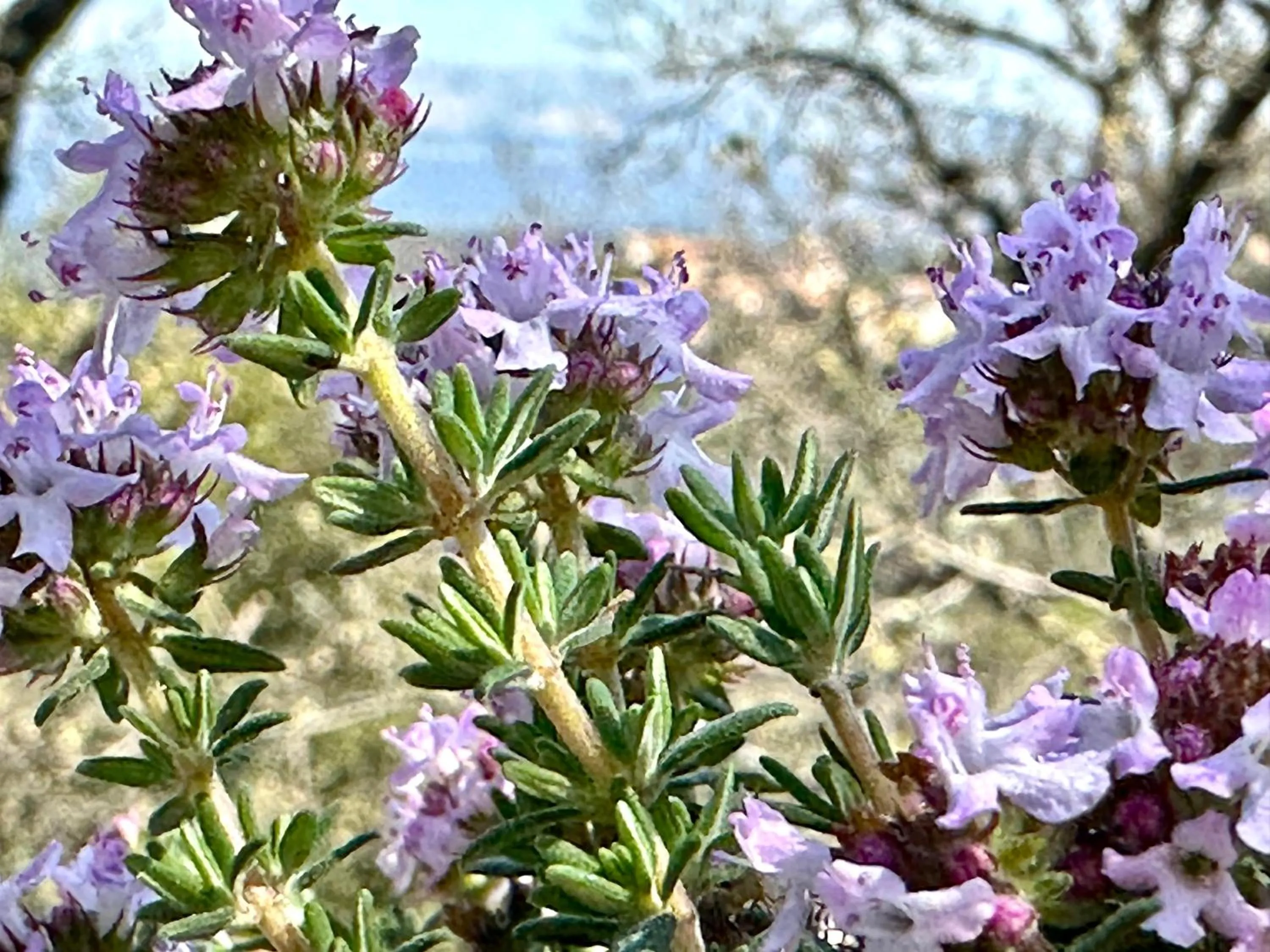 Logis Hotel Restaurant Le Grand Puech