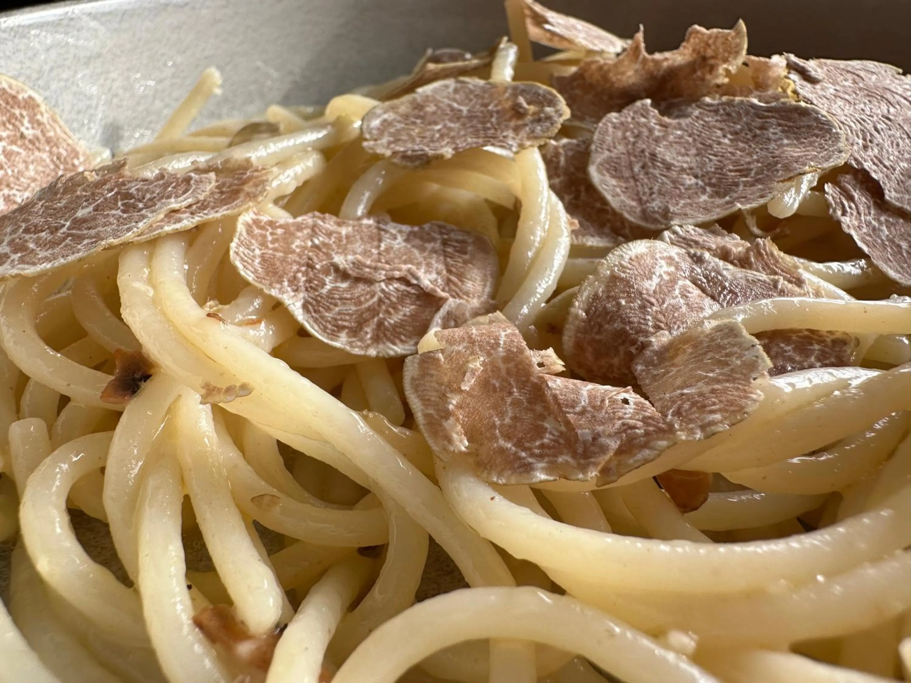 Restaurant/places to eat in Logis Hotel Restaurant Le Grand Puech