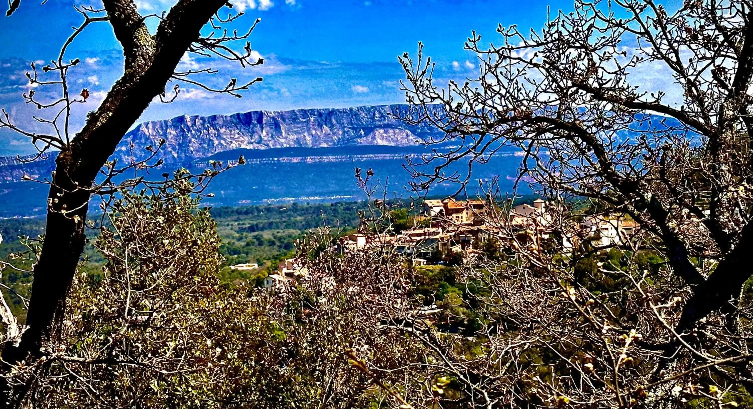 Logis Hotel Restaurant Le Grand Puech
