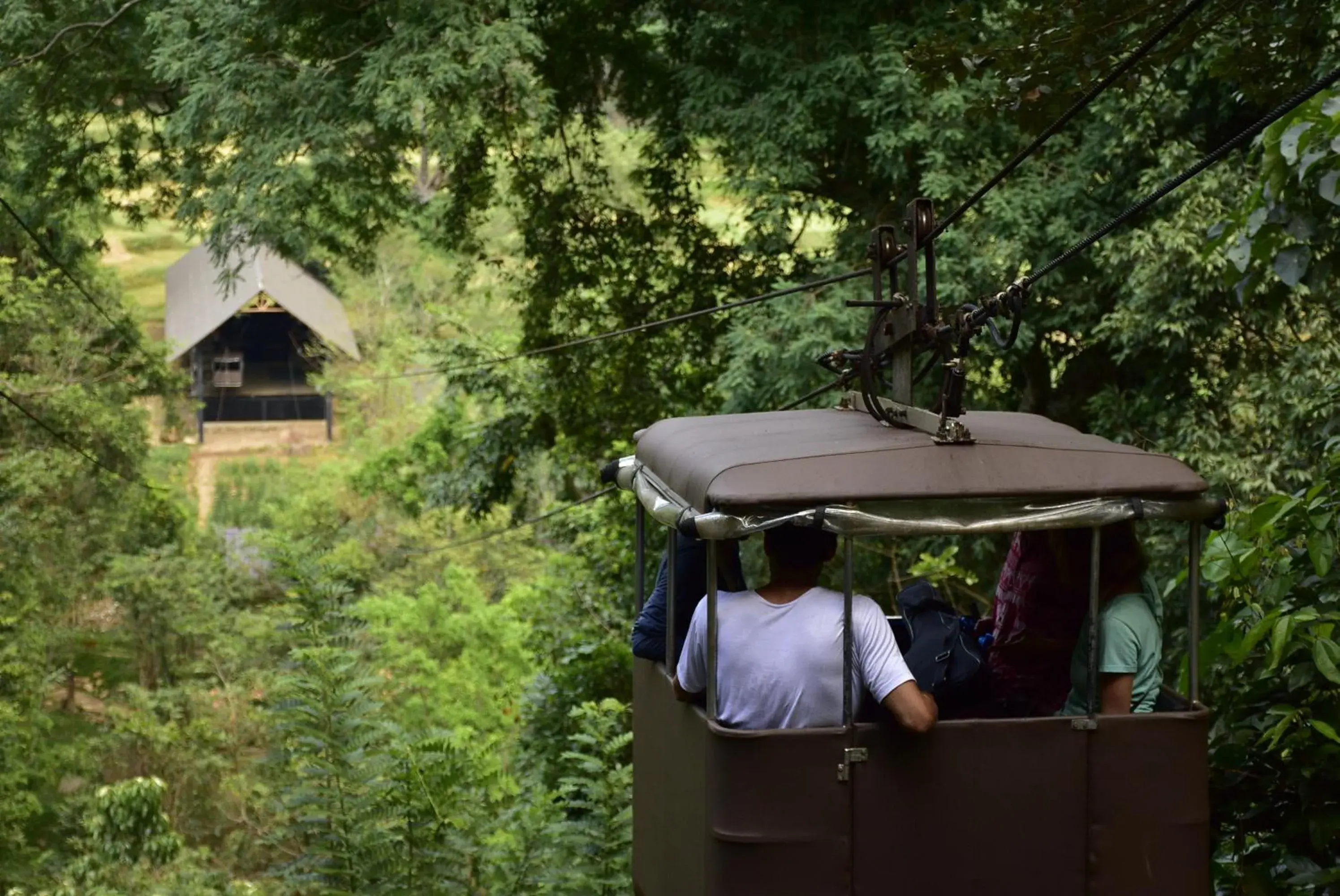 Lobby or reception in Ella Jungle Resort Lobby or reception in Ella Jungle Resort