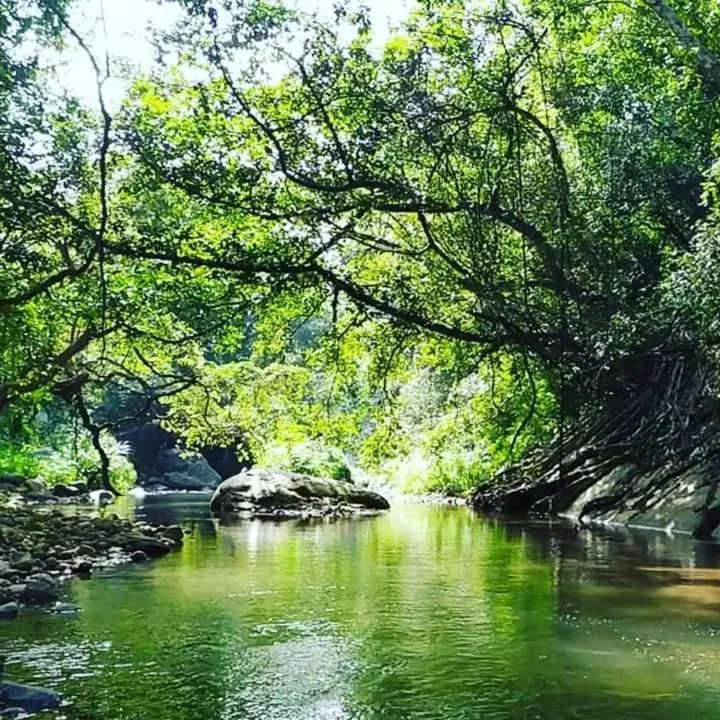 River view in Ella Jungle Resort River view in Ella Jungle Resort