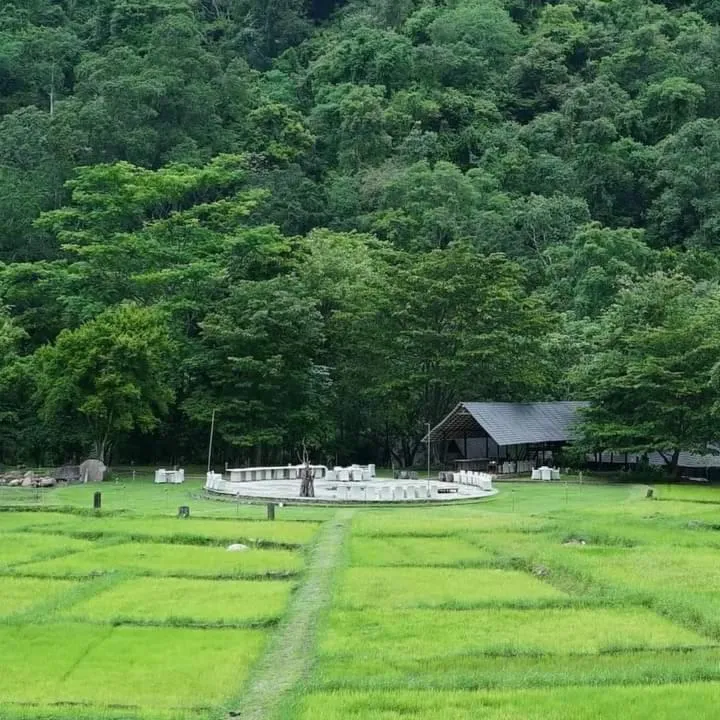 Natural landscape in Ella Jungle Resort