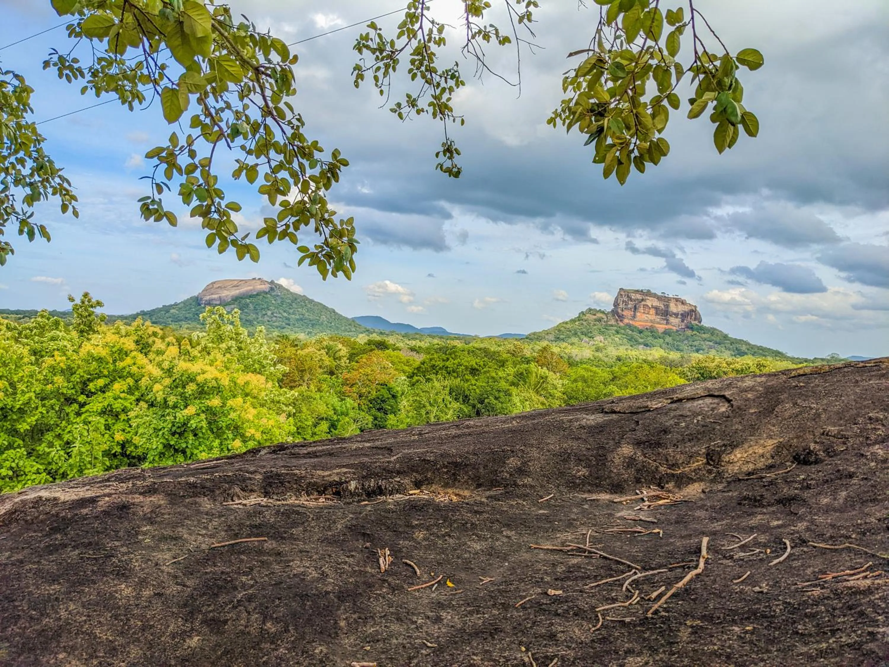 Natural landscape in Sigiri Choona Lodge 'unique sunrise viewpoint'