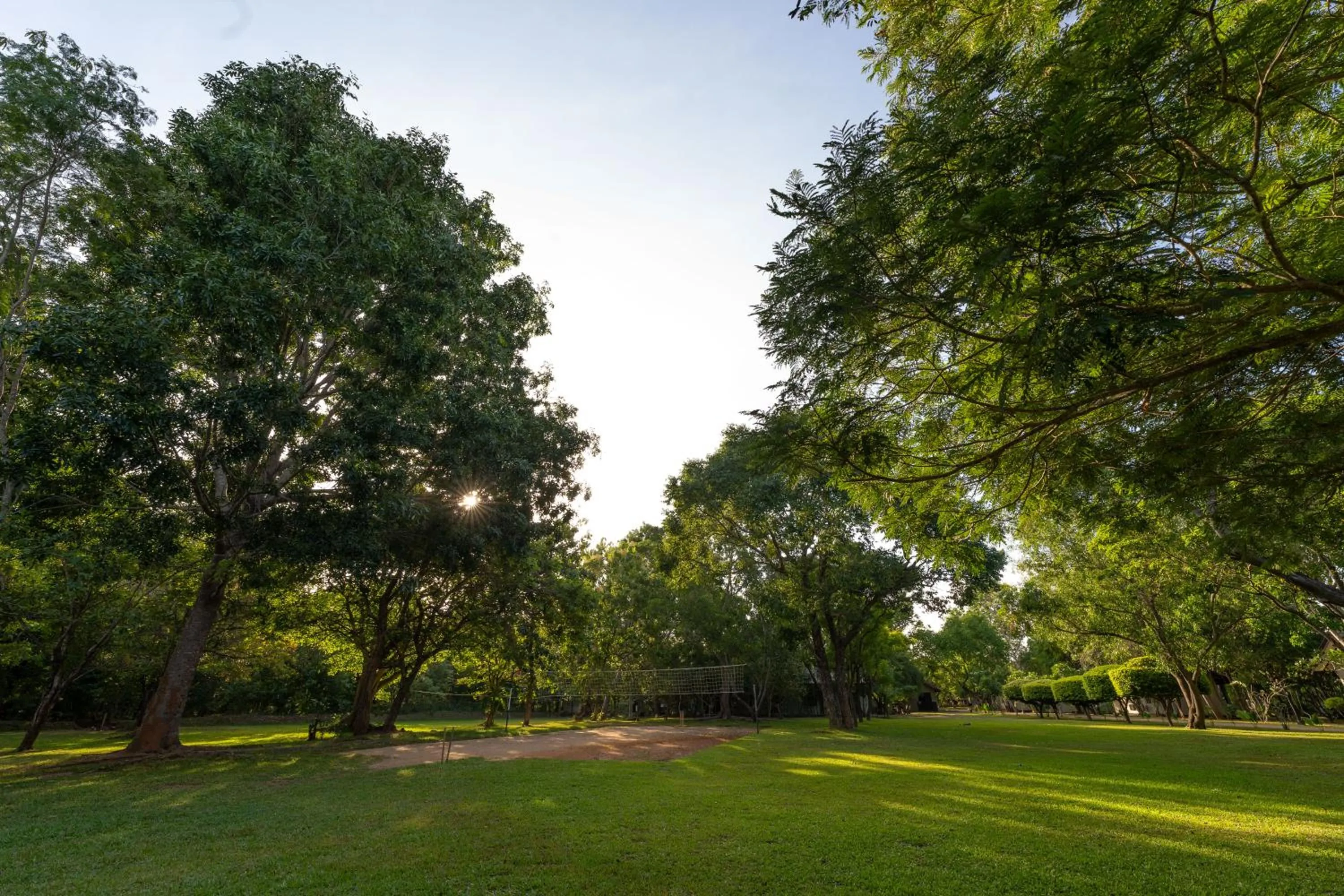 Natural landscape in Oak Ray Elephant Lake