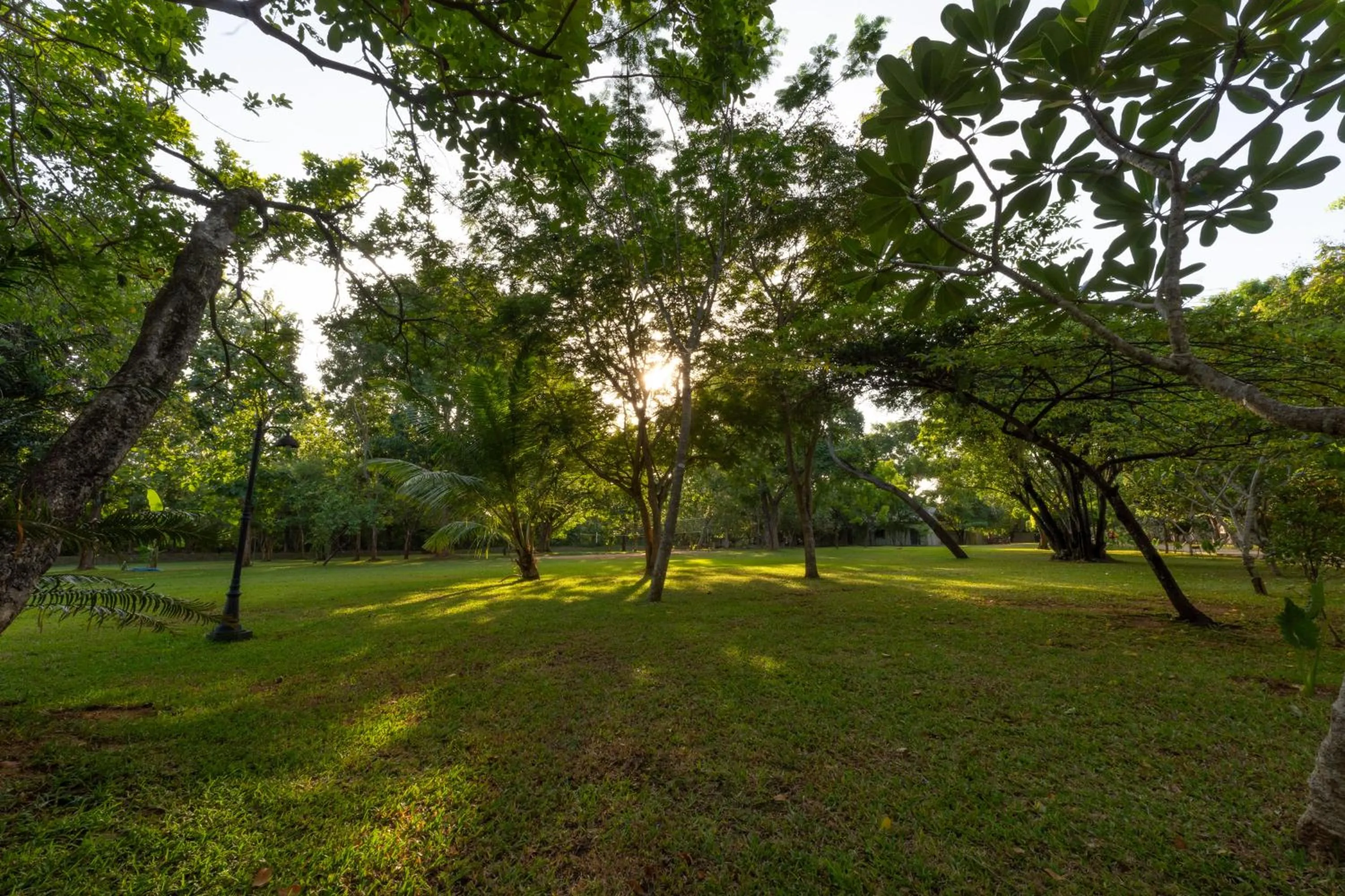 Natural landscape in Oak Ray Elephant Lake