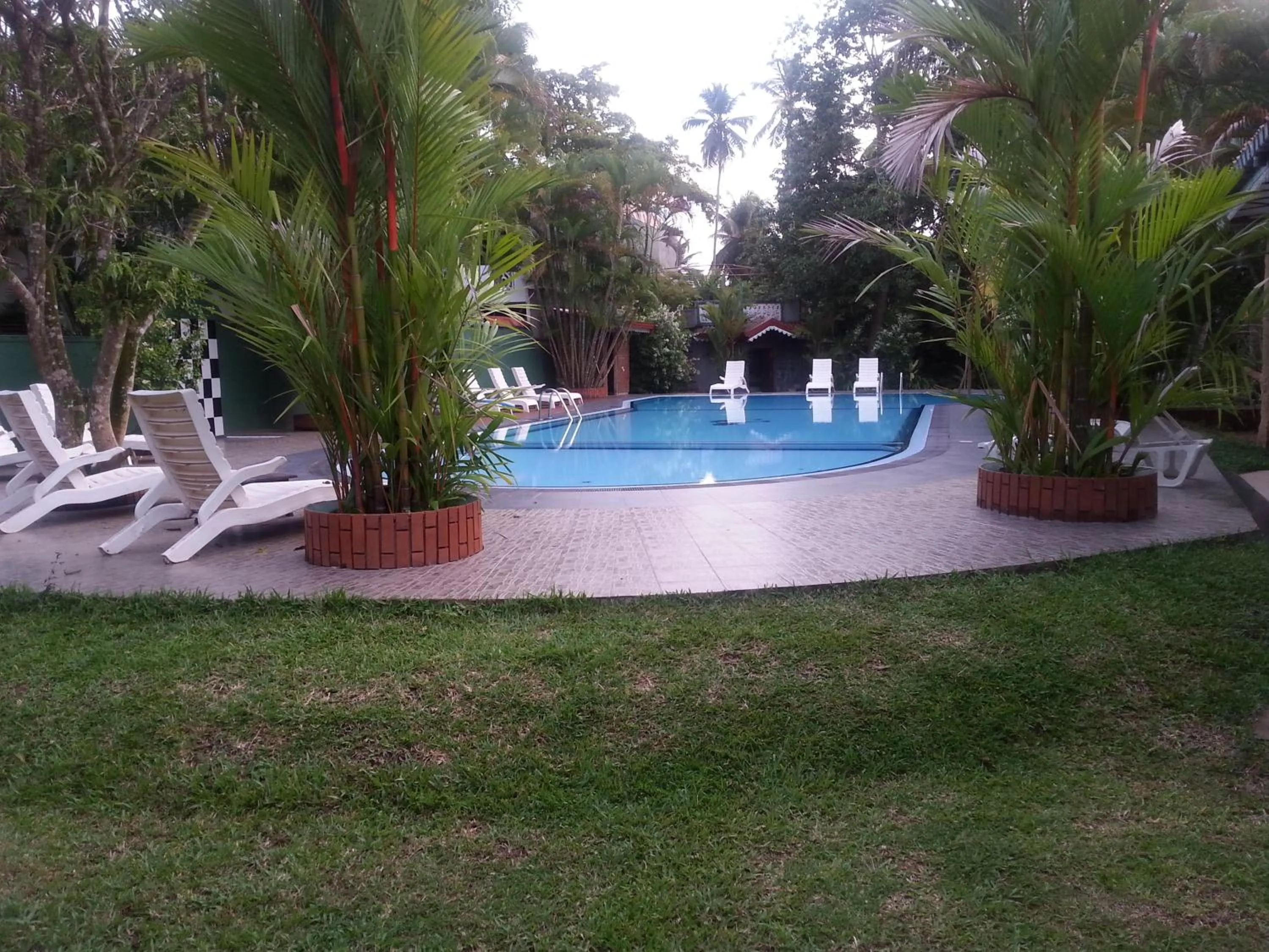 Swimming pool in Bougain Villa
