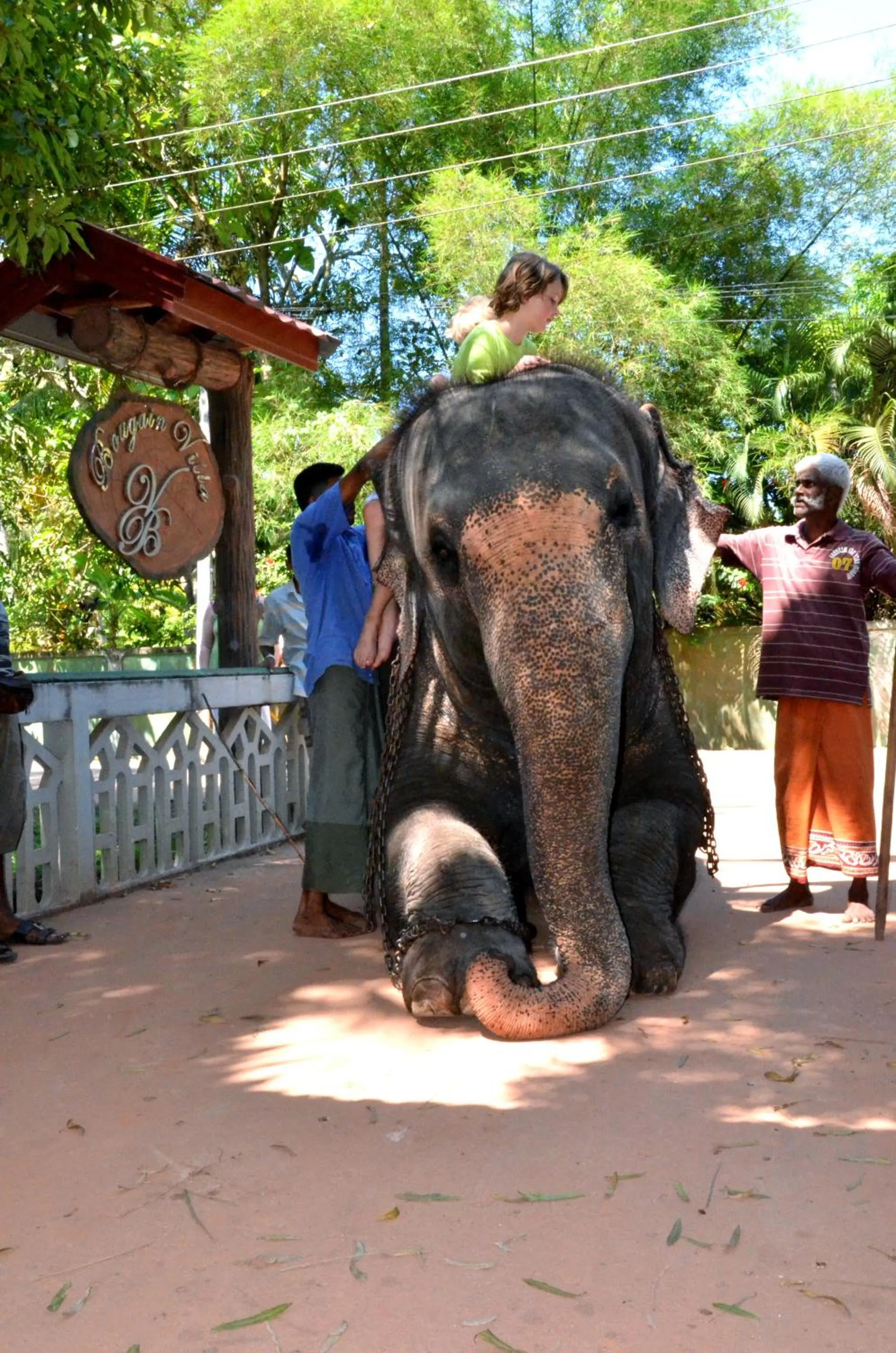 Area and facilities in Bougain Villa