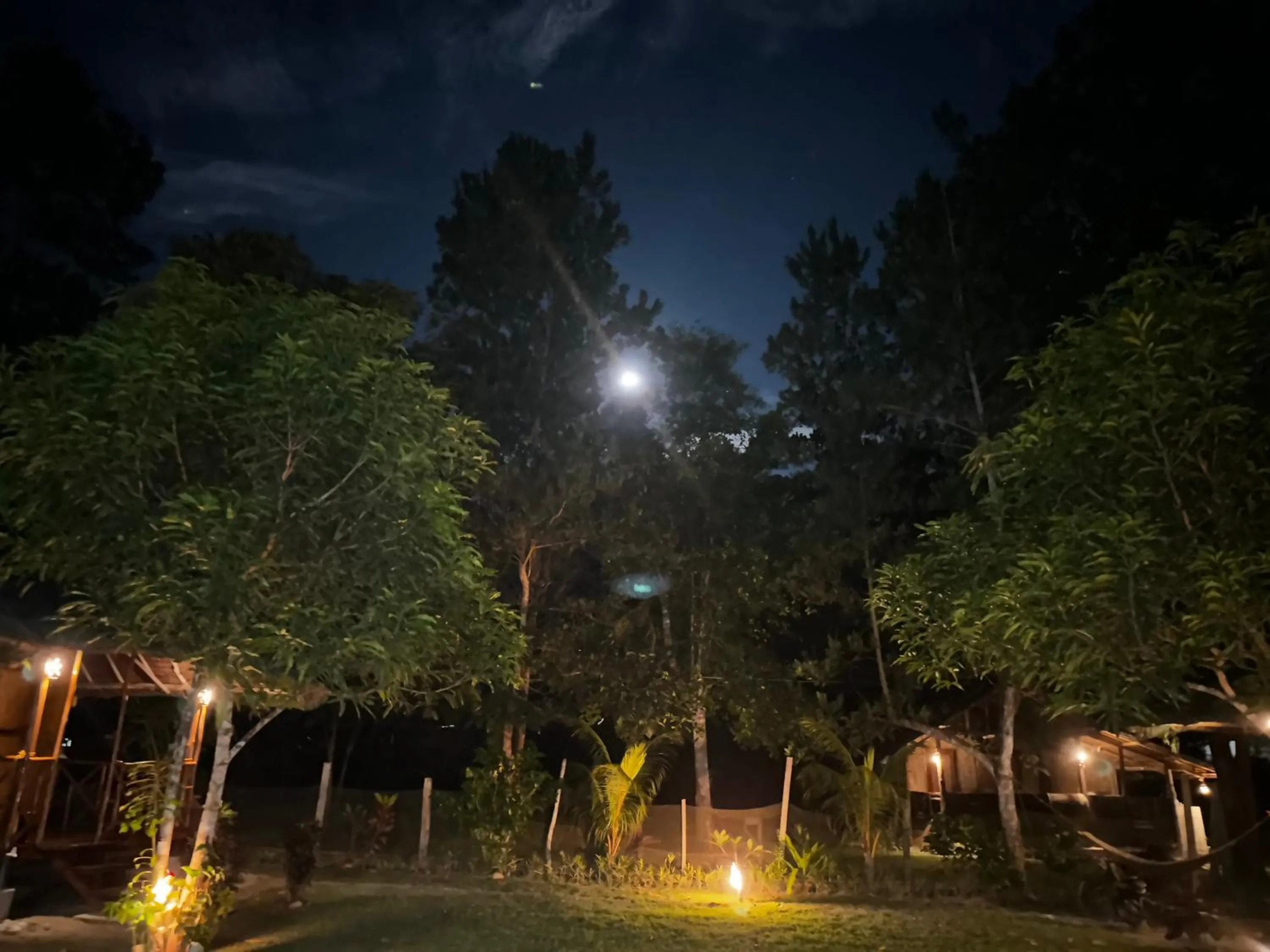 Night in Back Trippers Inn