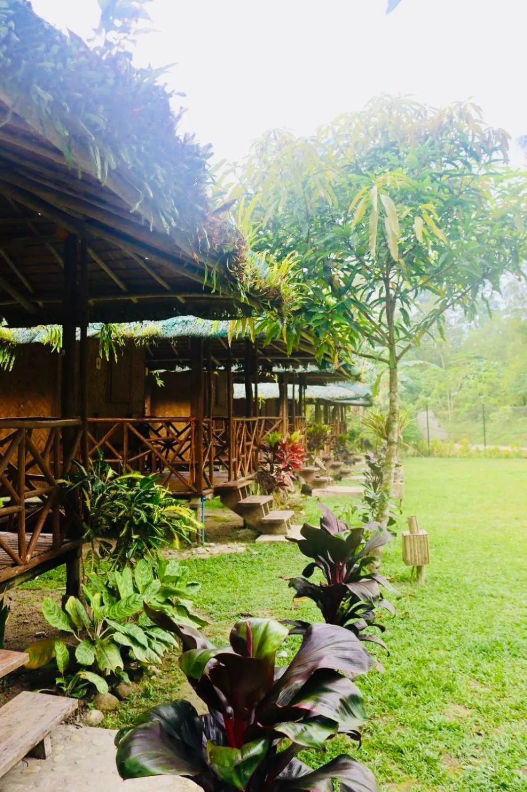 Garden view in Back Trippers Inn