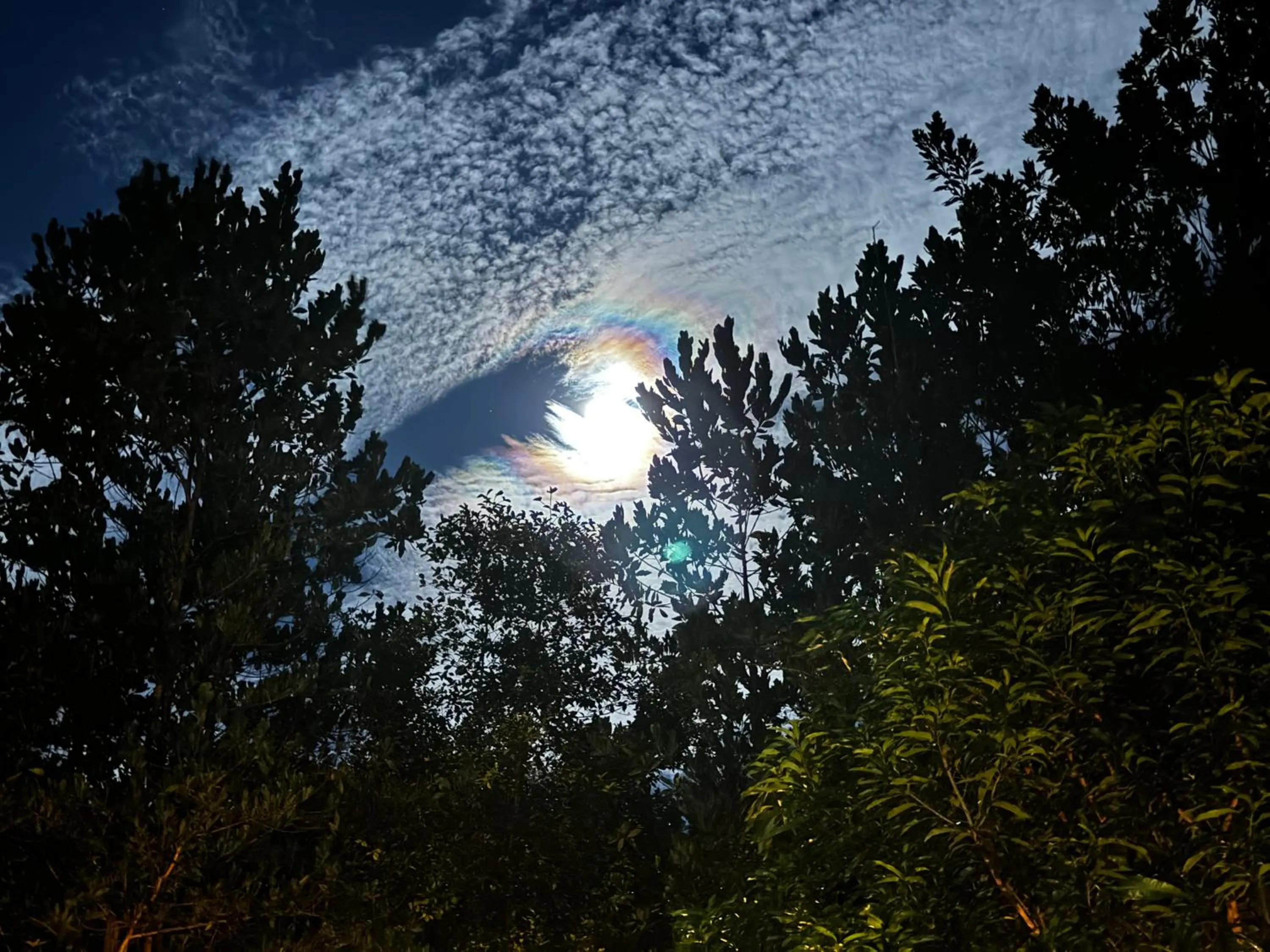 Natural landscape in Back Trippers Inn