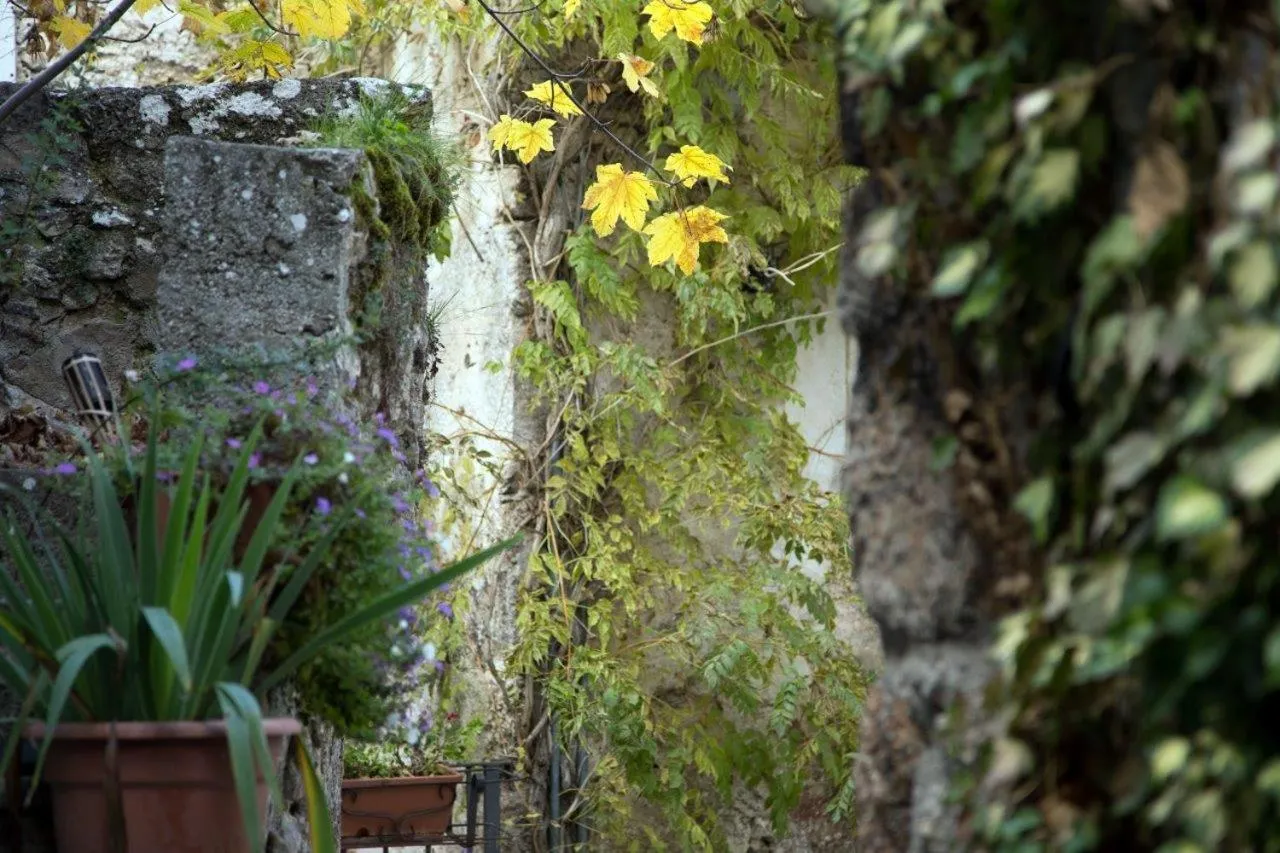 Decorative detail in La Bifora e Le Lune Vico sotto gli archi 5
