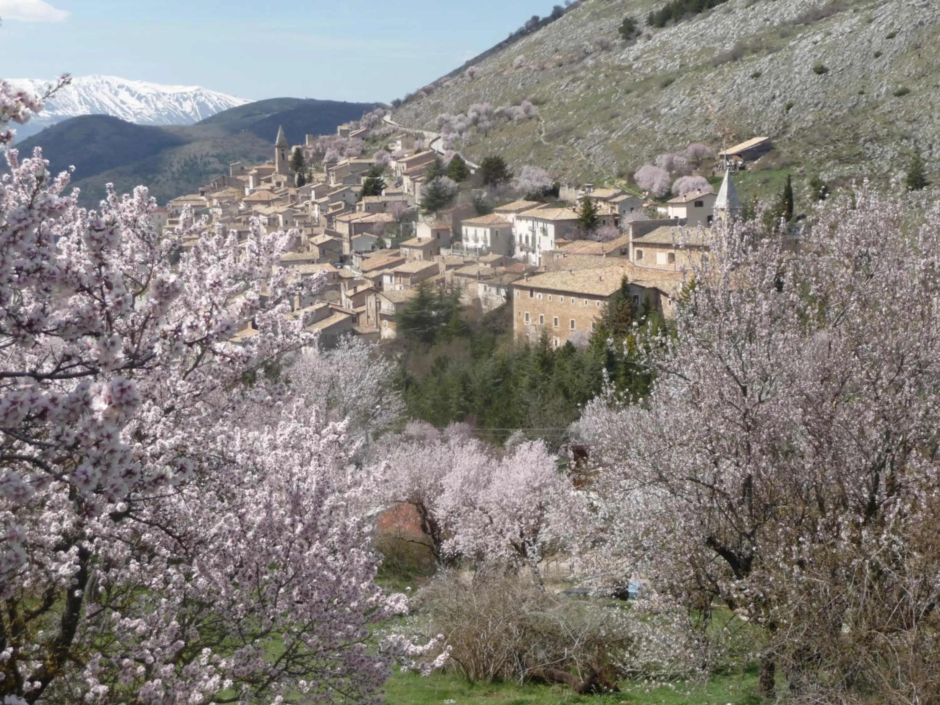 Spring in La Bifora e Le Lune Vico sotto gli archi 5