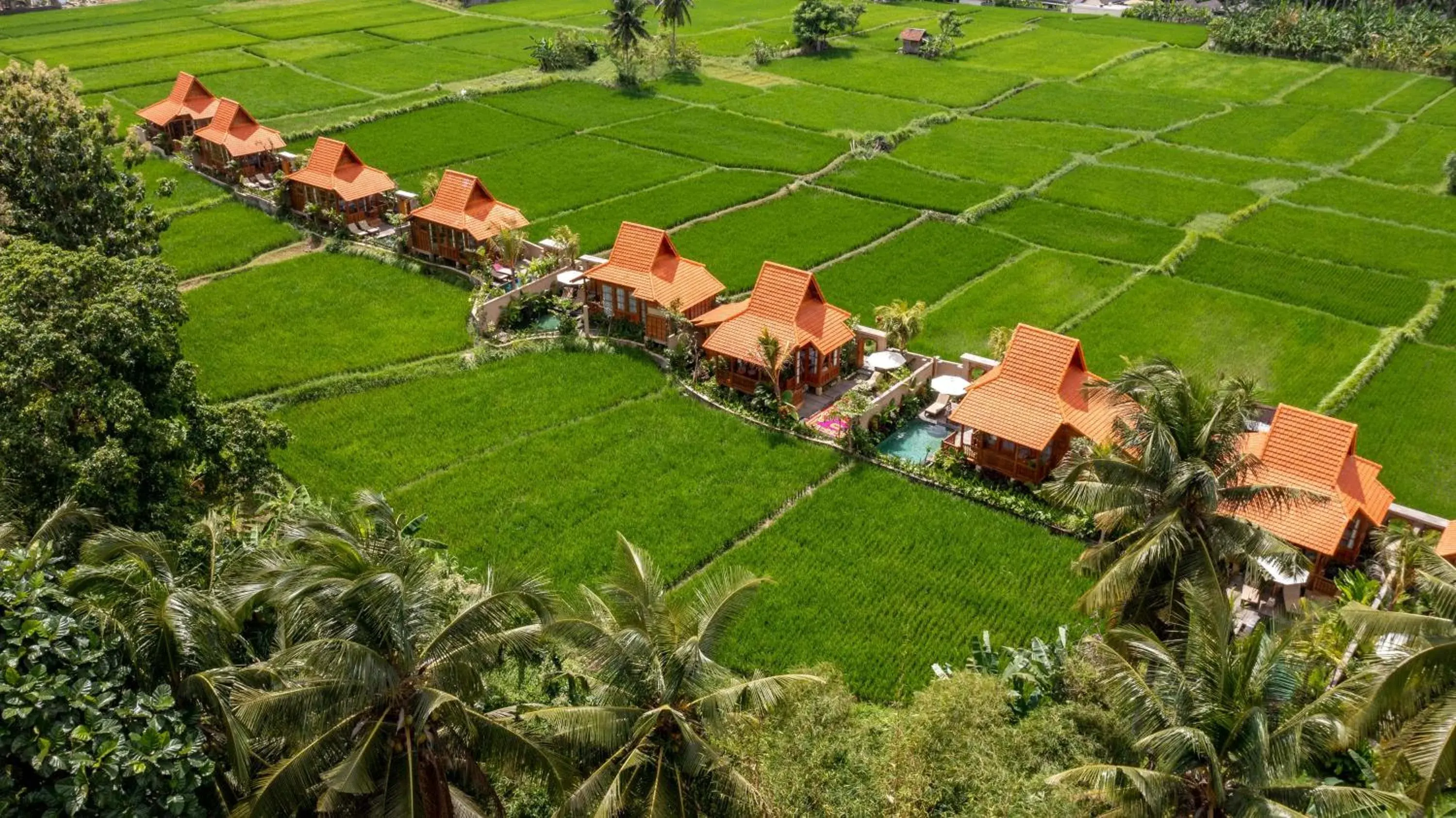 Property building in The Kalyana Ubud Resort Property building in The Kalyana Ubud Resort