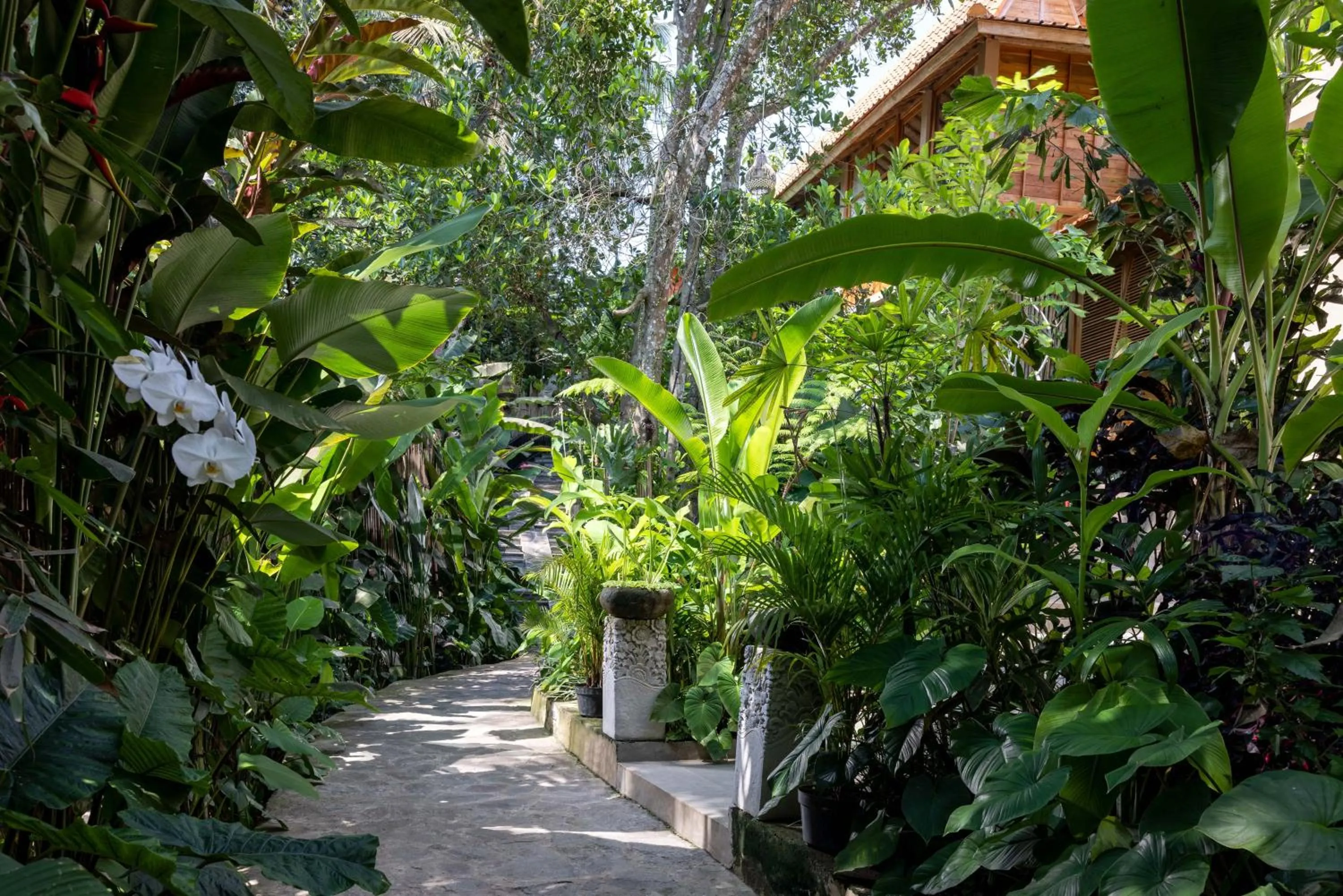 Garden in The Kalyana Ubud Resort