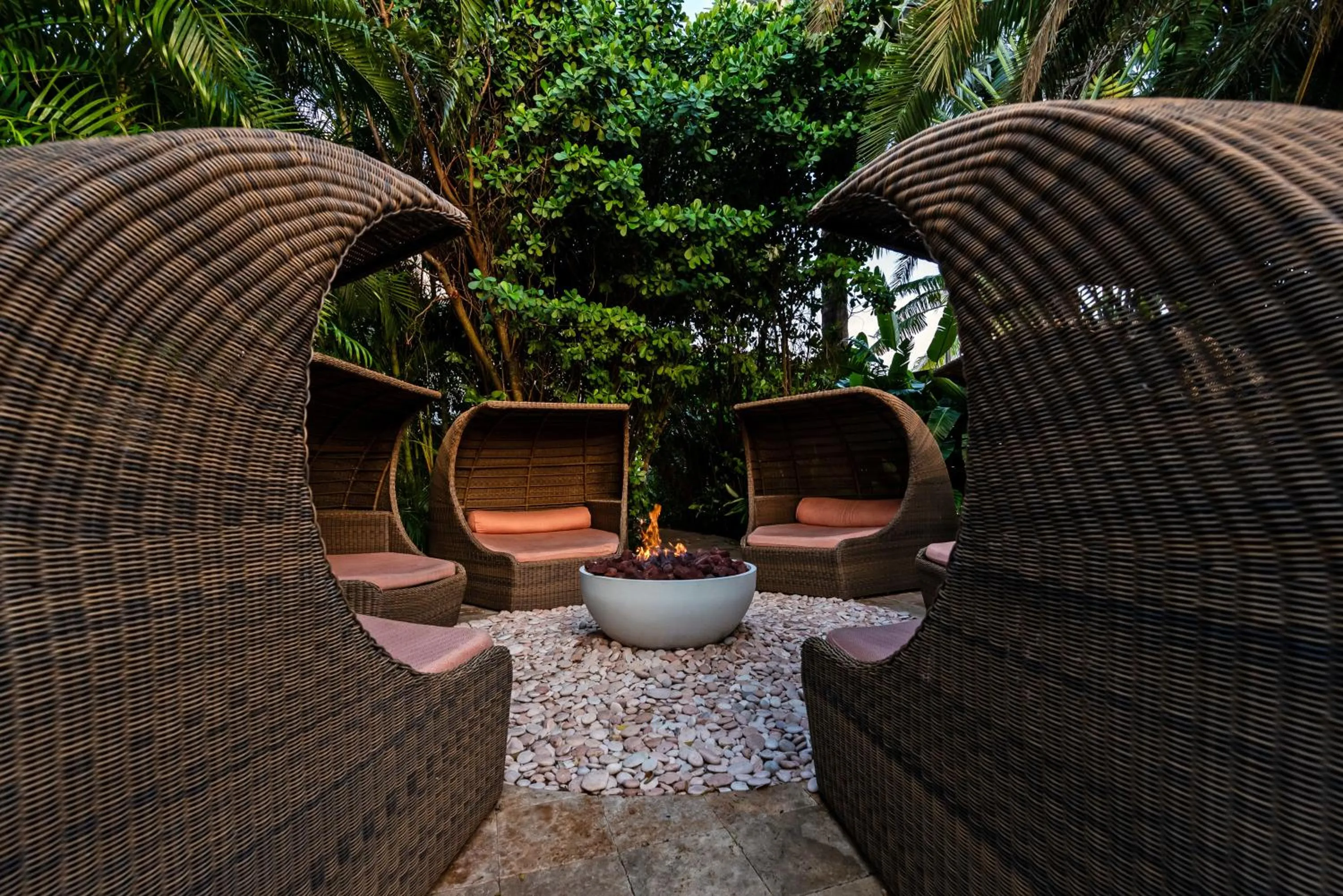Garden in The Standard Spa, Miami Beach