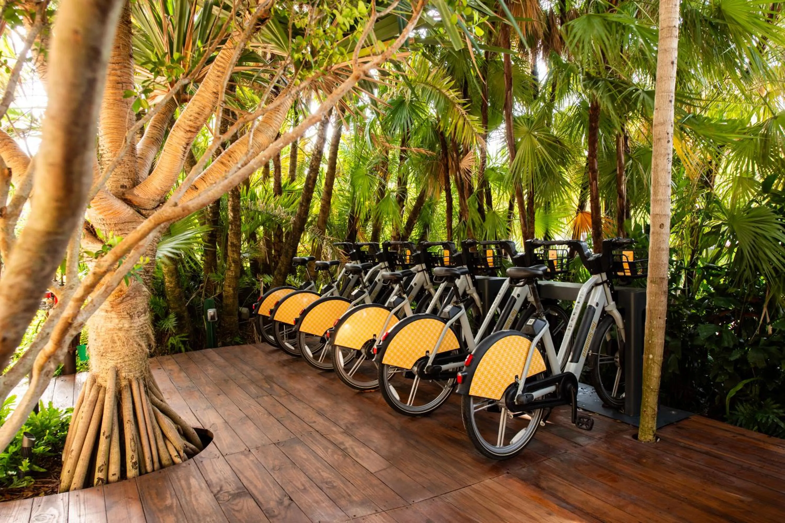 Activities in The Standard Spa, Miami Beach