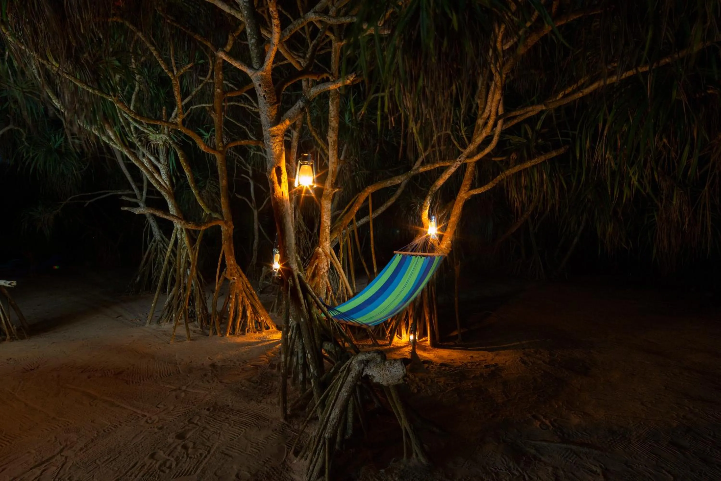 Beach in Palm Beach Inn & Sea Shells Cabanas