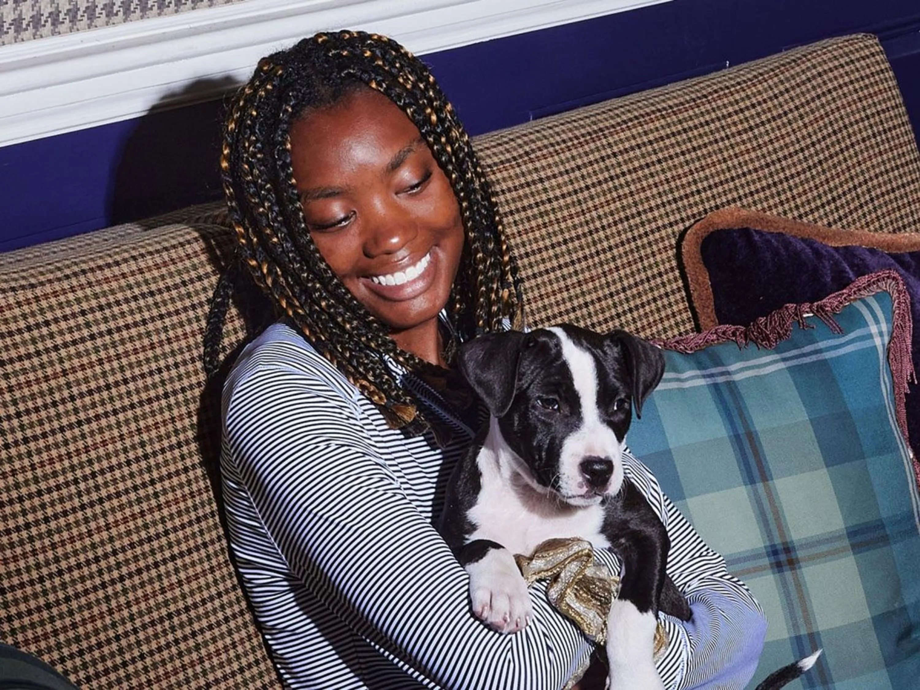 pet friendly in Graduate by Hilton Iowa City