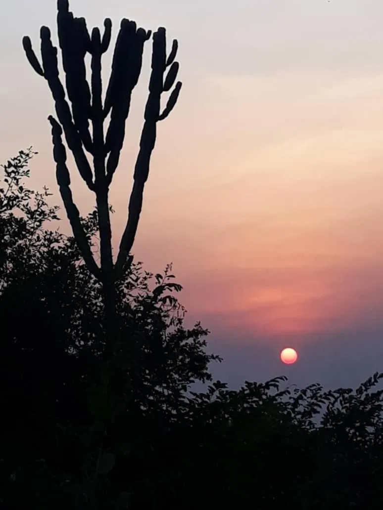 Natural landscape in Kikonko Lodge