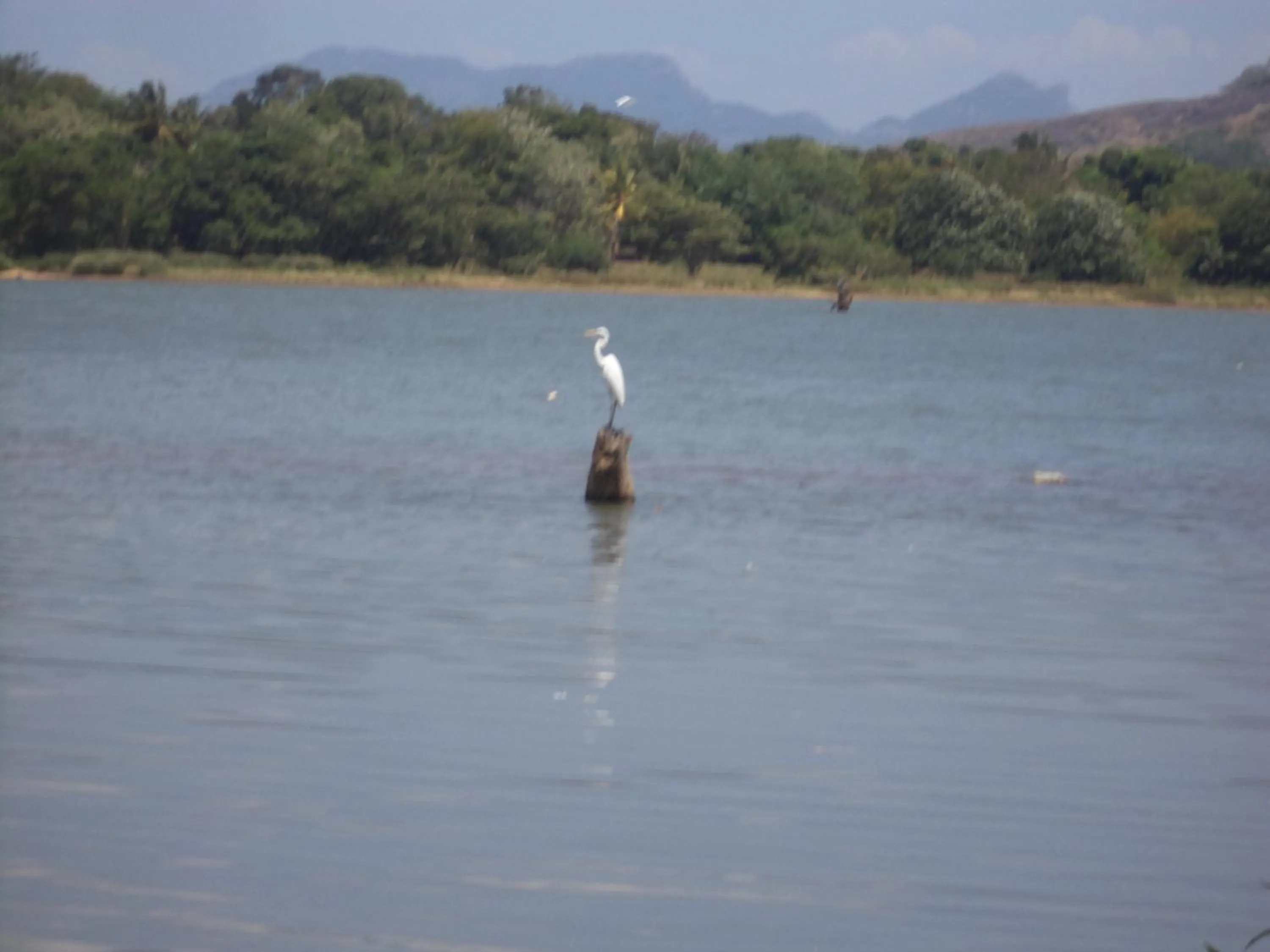 Day in Pleasure Island Holiday Home