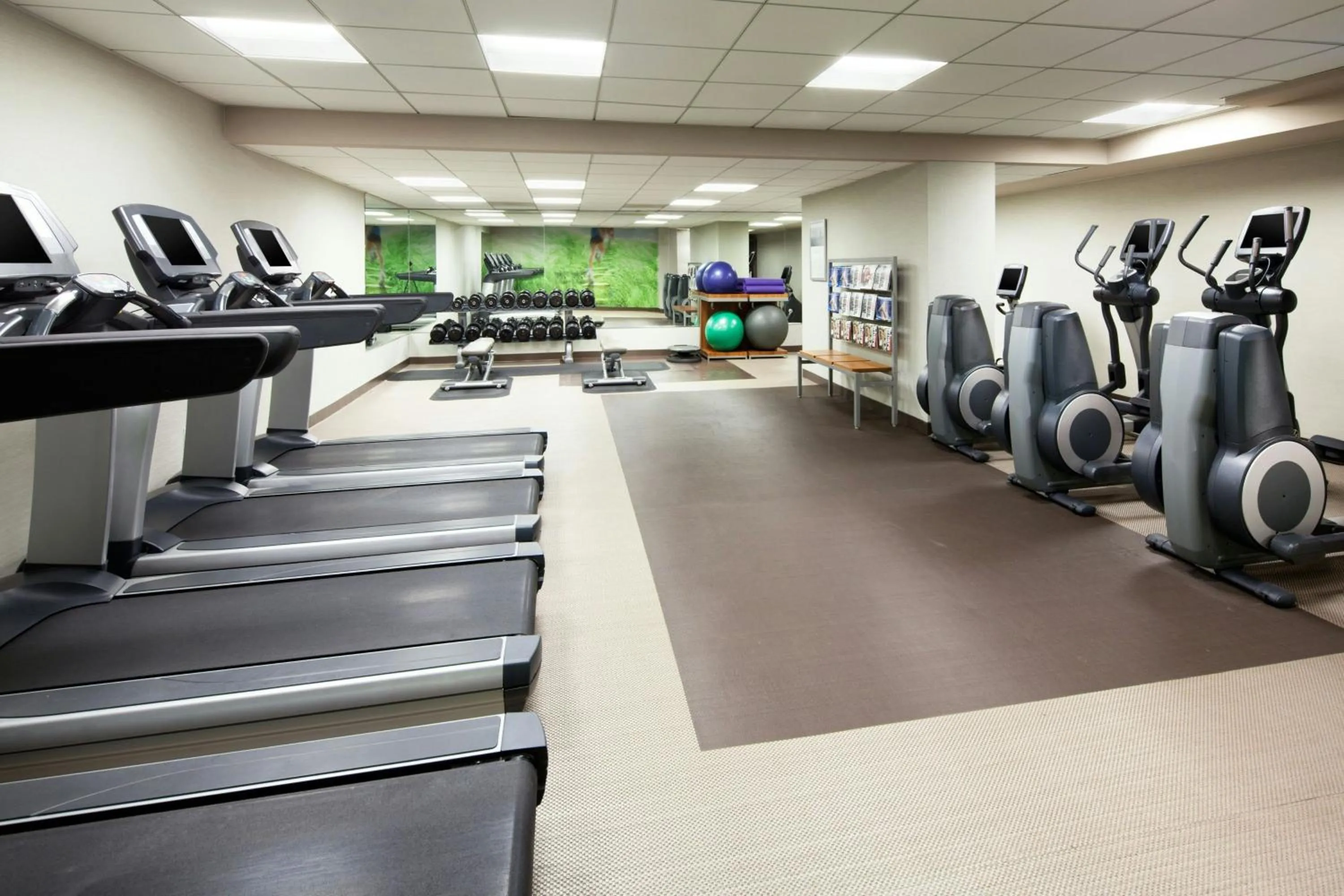 Fitness centre/facilities in The Westin San Francisco Airport