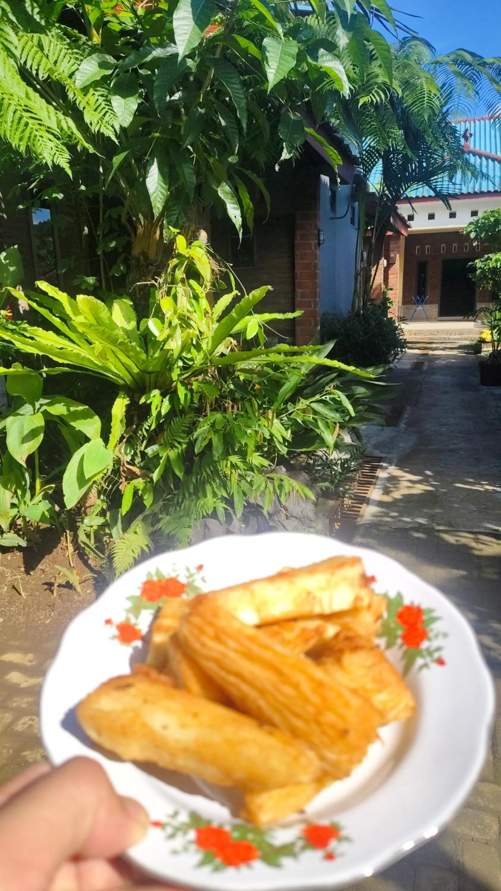 KOPIKUIN bromo homestay