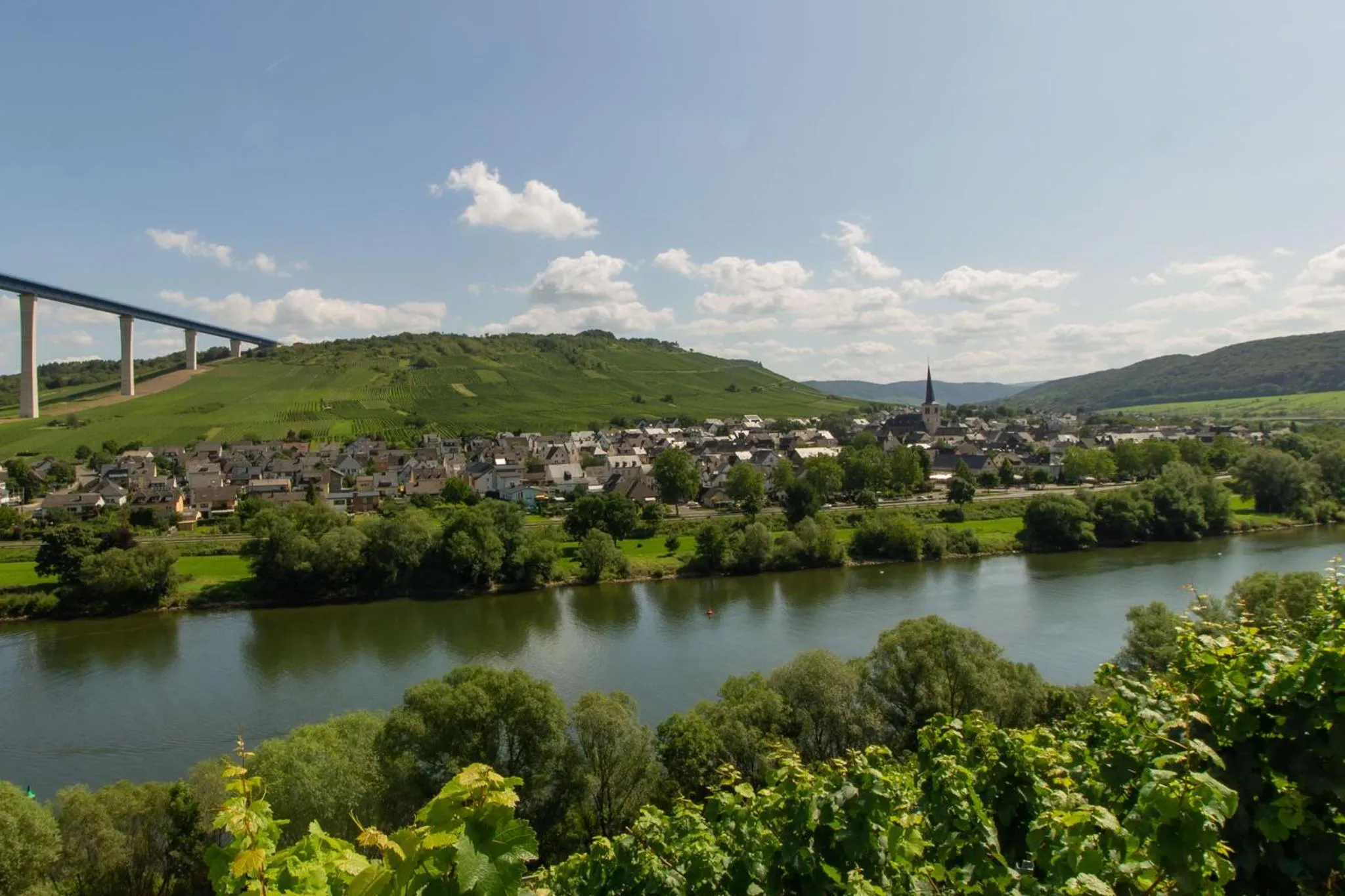 River view in Moselhaus