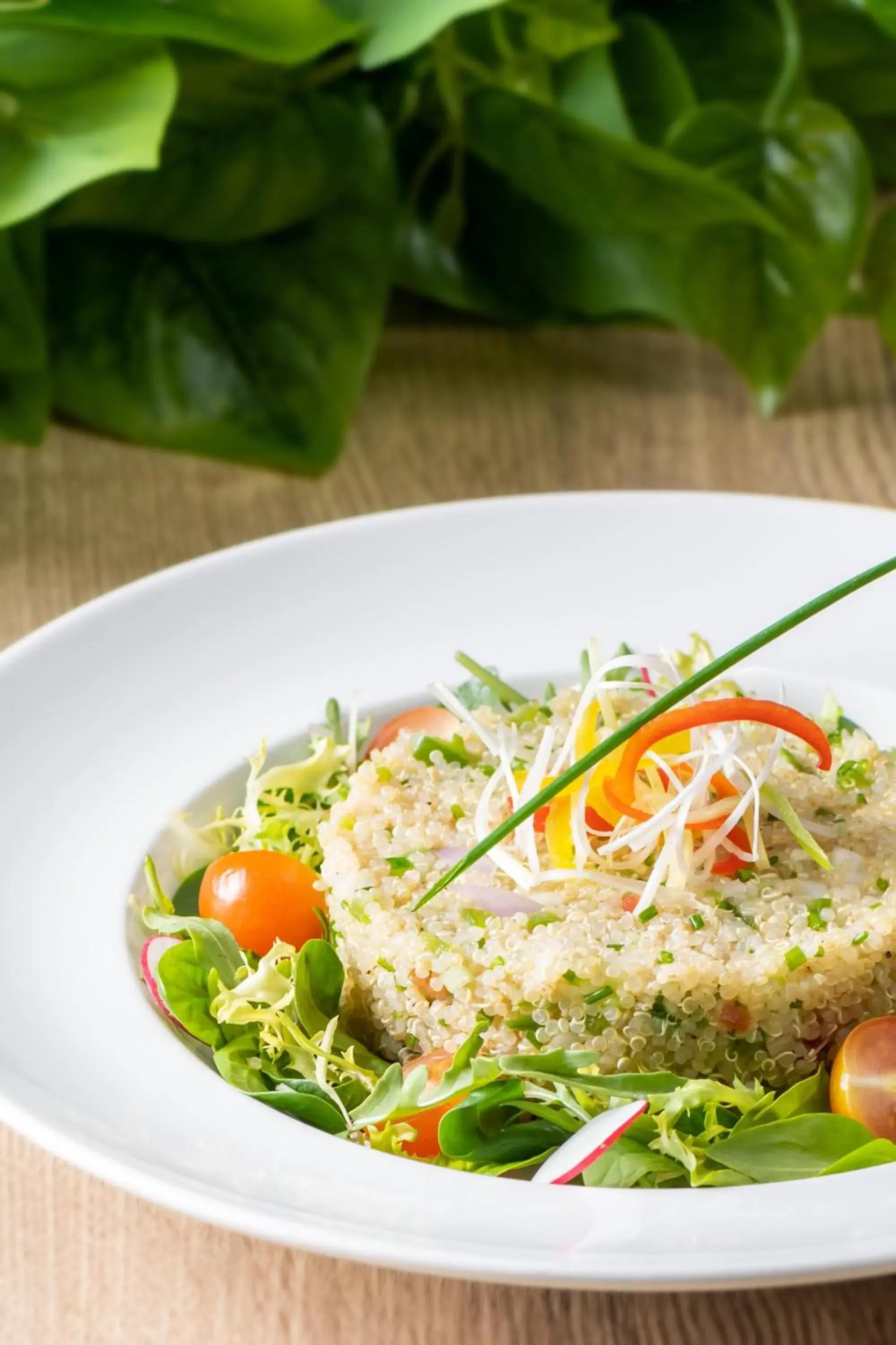 Restaurant/places to eat in JA The Manor Hotel, Dubai Restaurant/places to eat in JA The Manor Hotel, Dubai