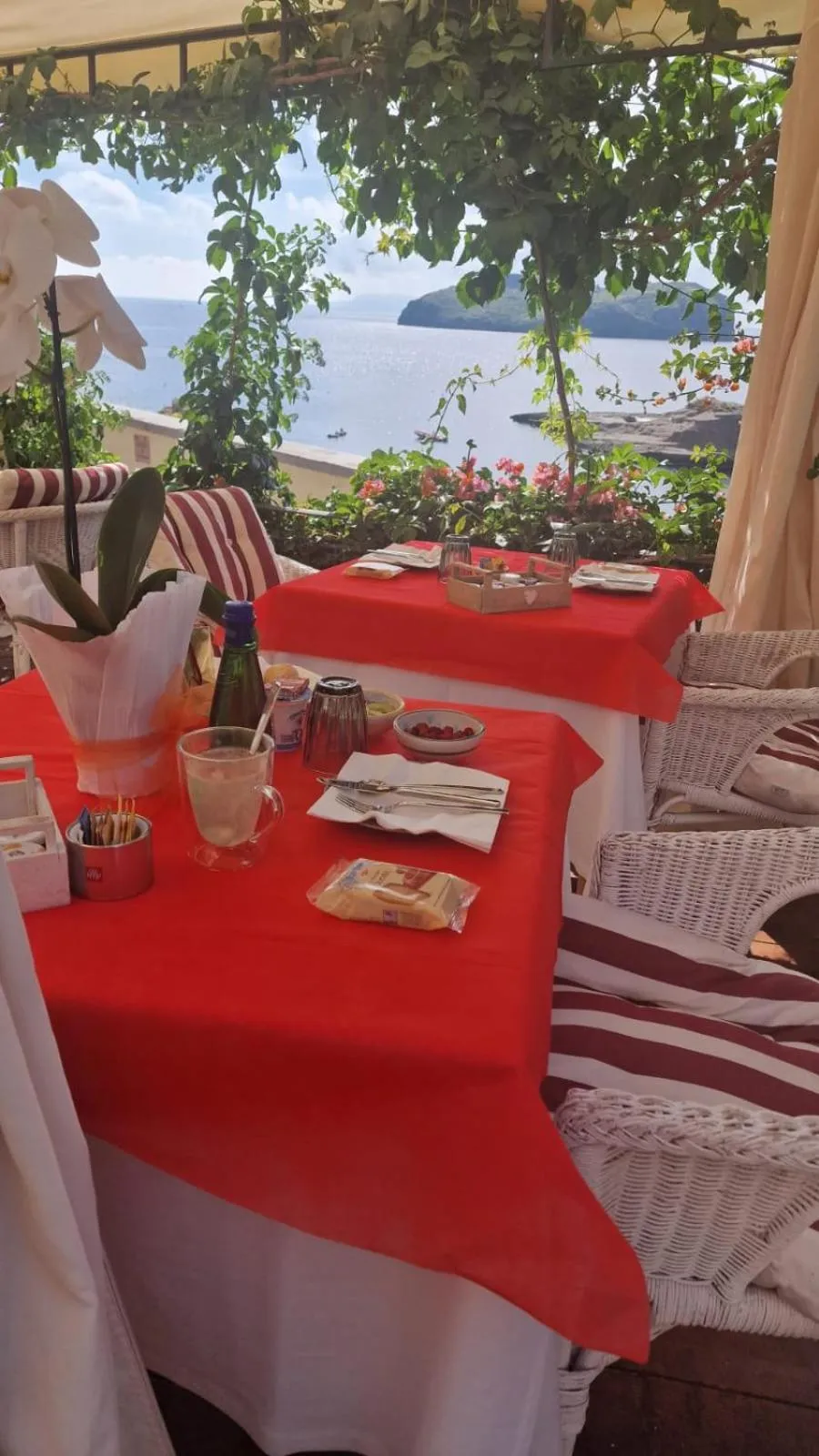 Lounge or bar in Hotel Villa Iulia