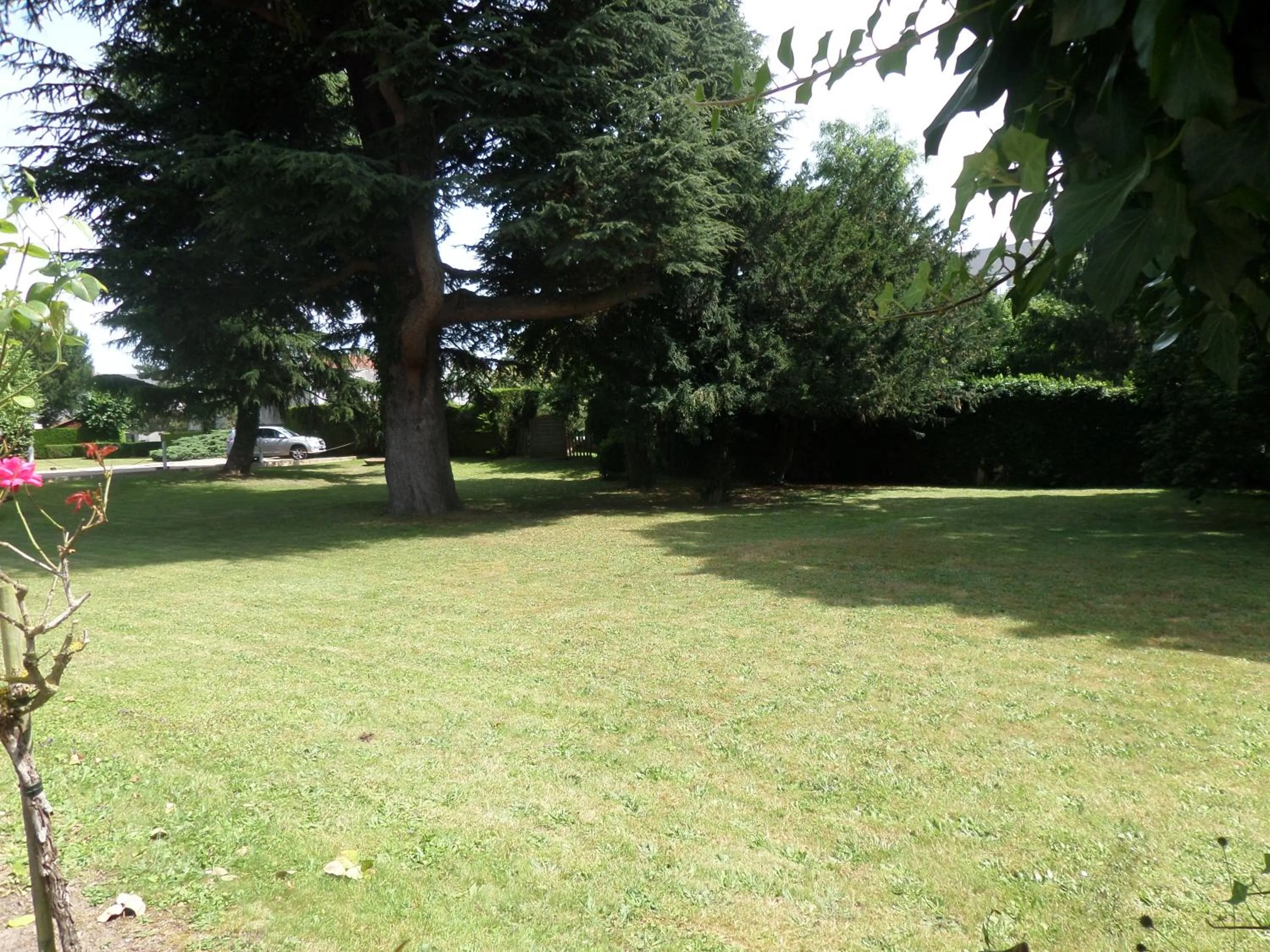 Natural landscape, Garden in Promotel