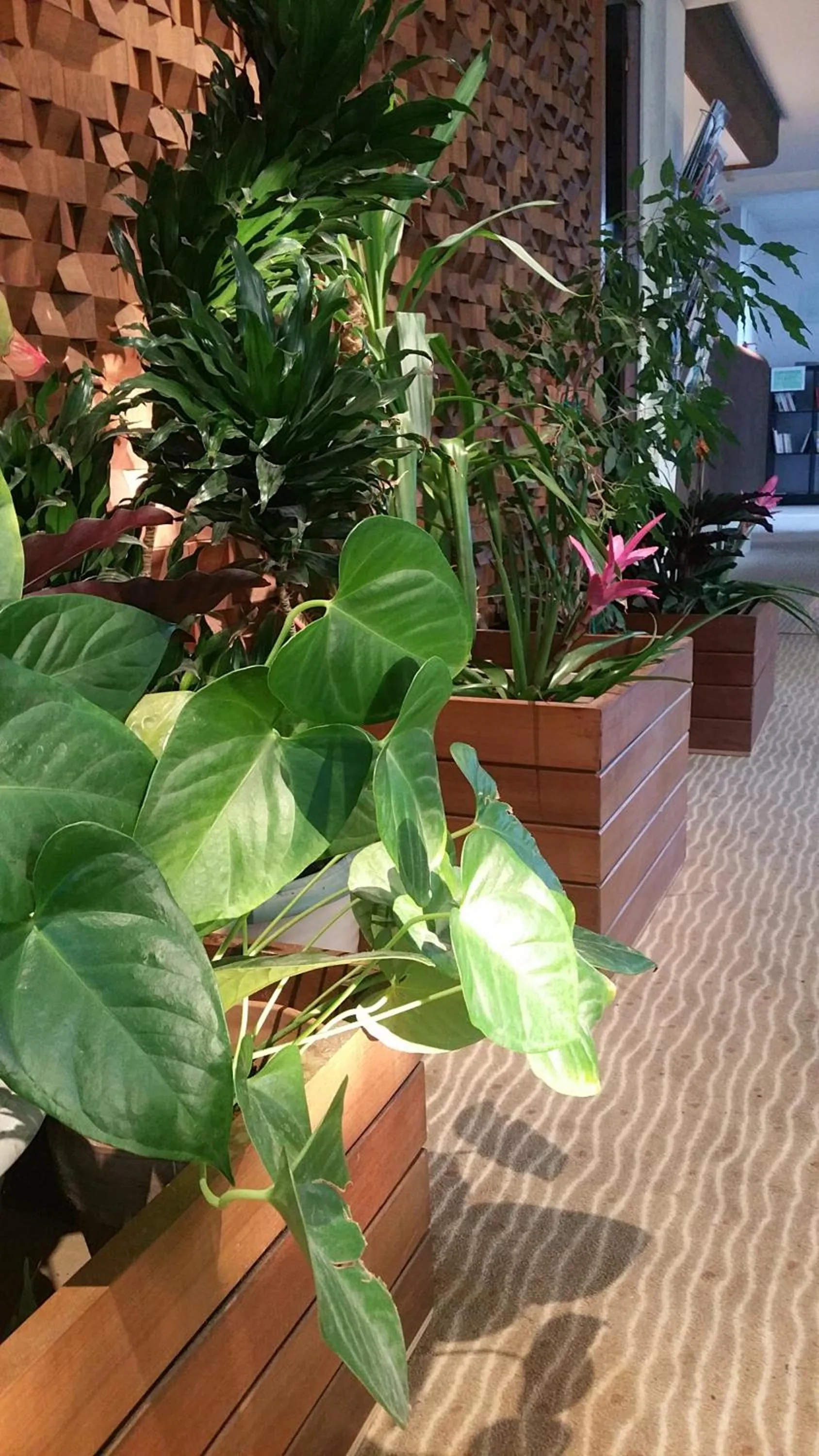 Lobby or reception in Promotel