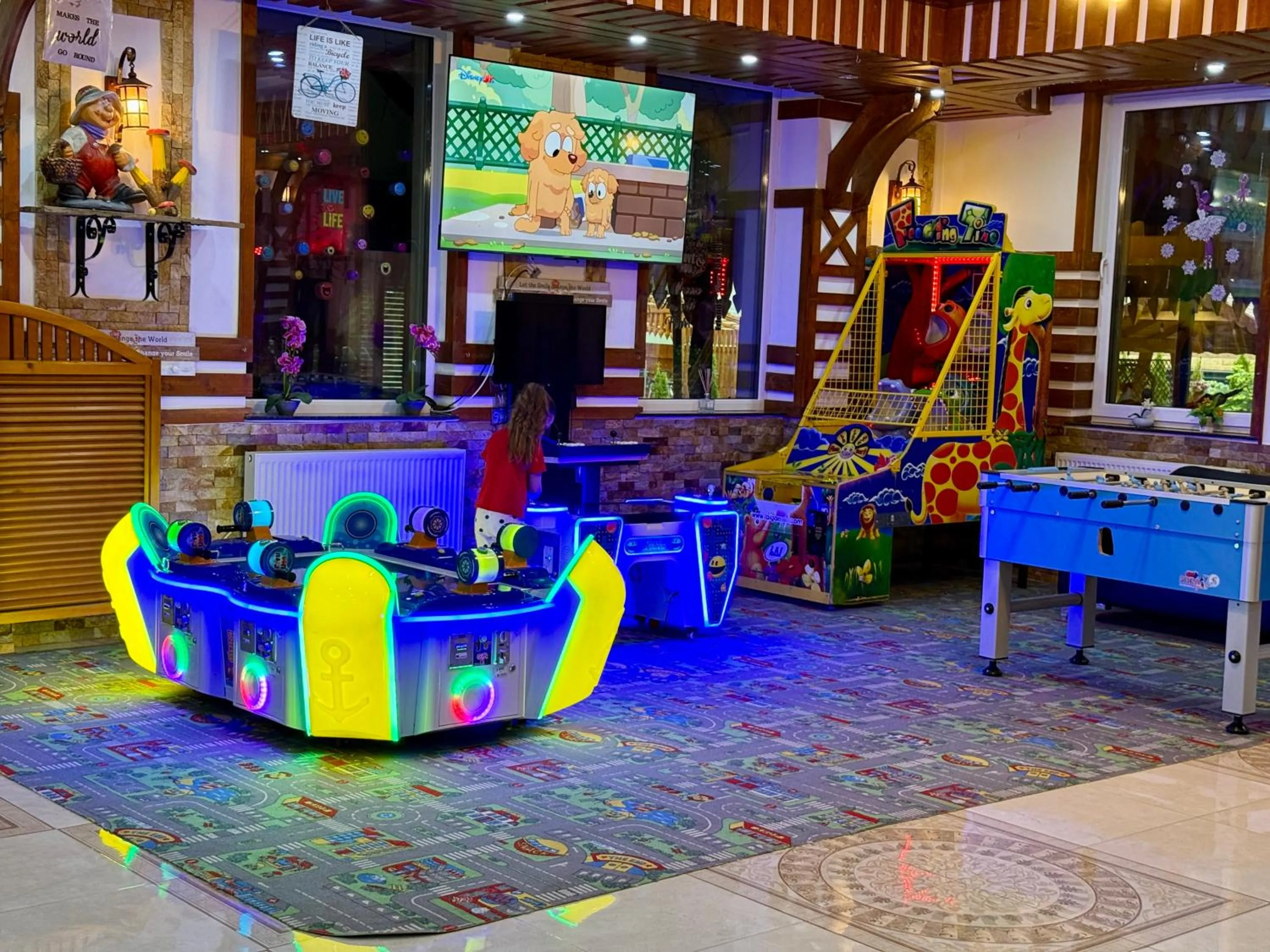 Game Room in Cabana Sura Getilor Arinis