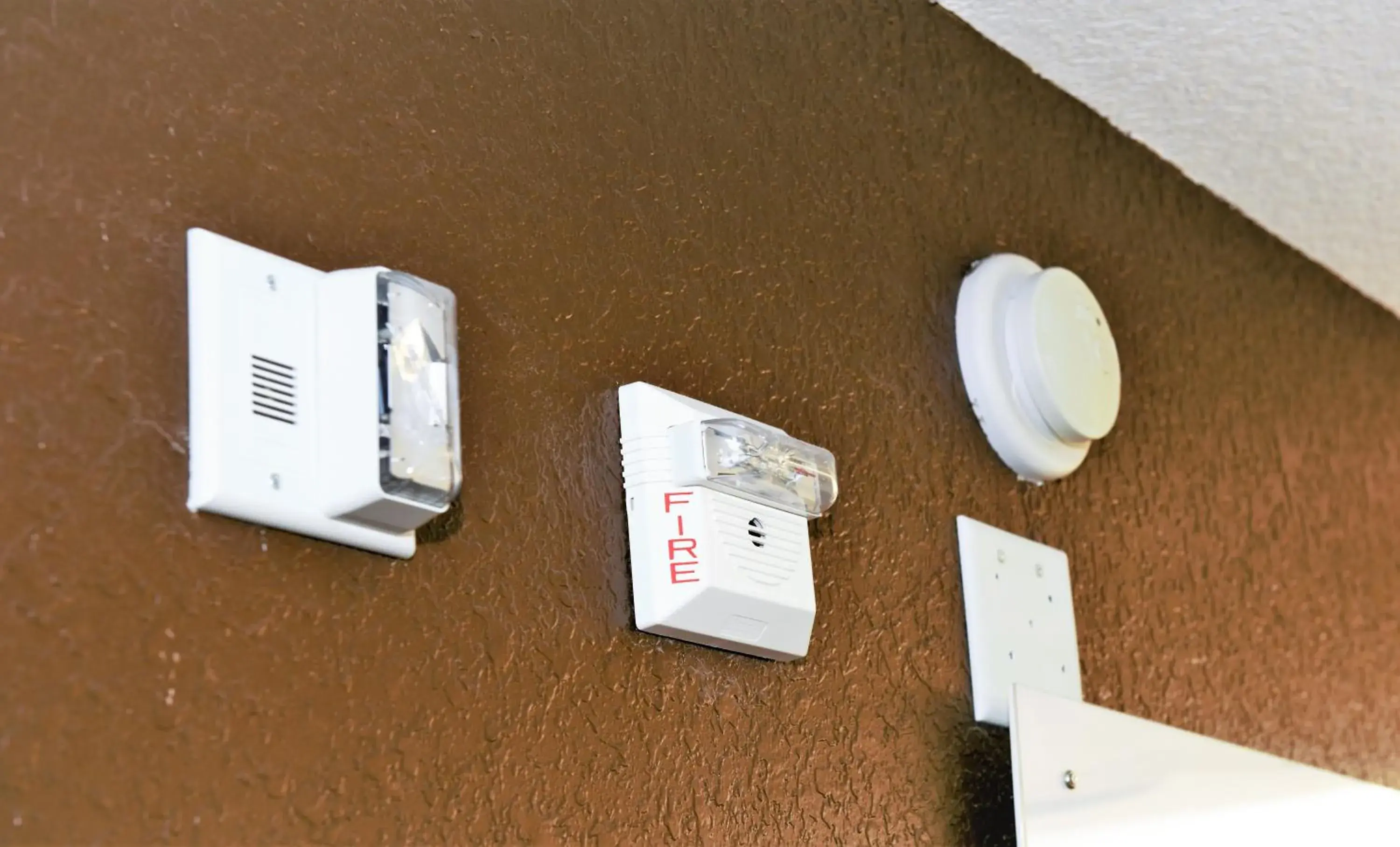 Queen Room with Roll-In Shower - Mobility/Hearing Accessible - Non-Smoking in Microtel Inn & Suites by Wyndham Jacksonville Airport Queen Room with Roll-In Shower - Mobility/Hearing Accessible - Non-Smoking in Microtel Inn & Suites by Wyndham Jacksonville Airport