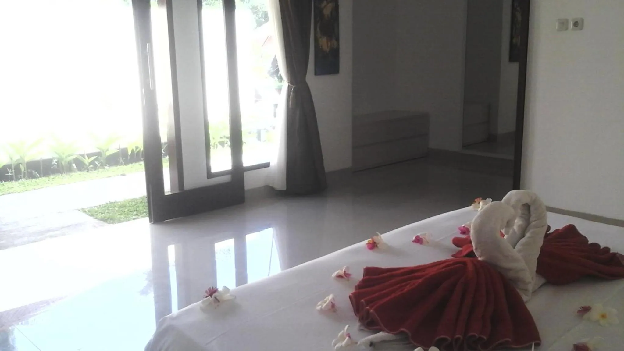 Garden view in villa tom and jerry