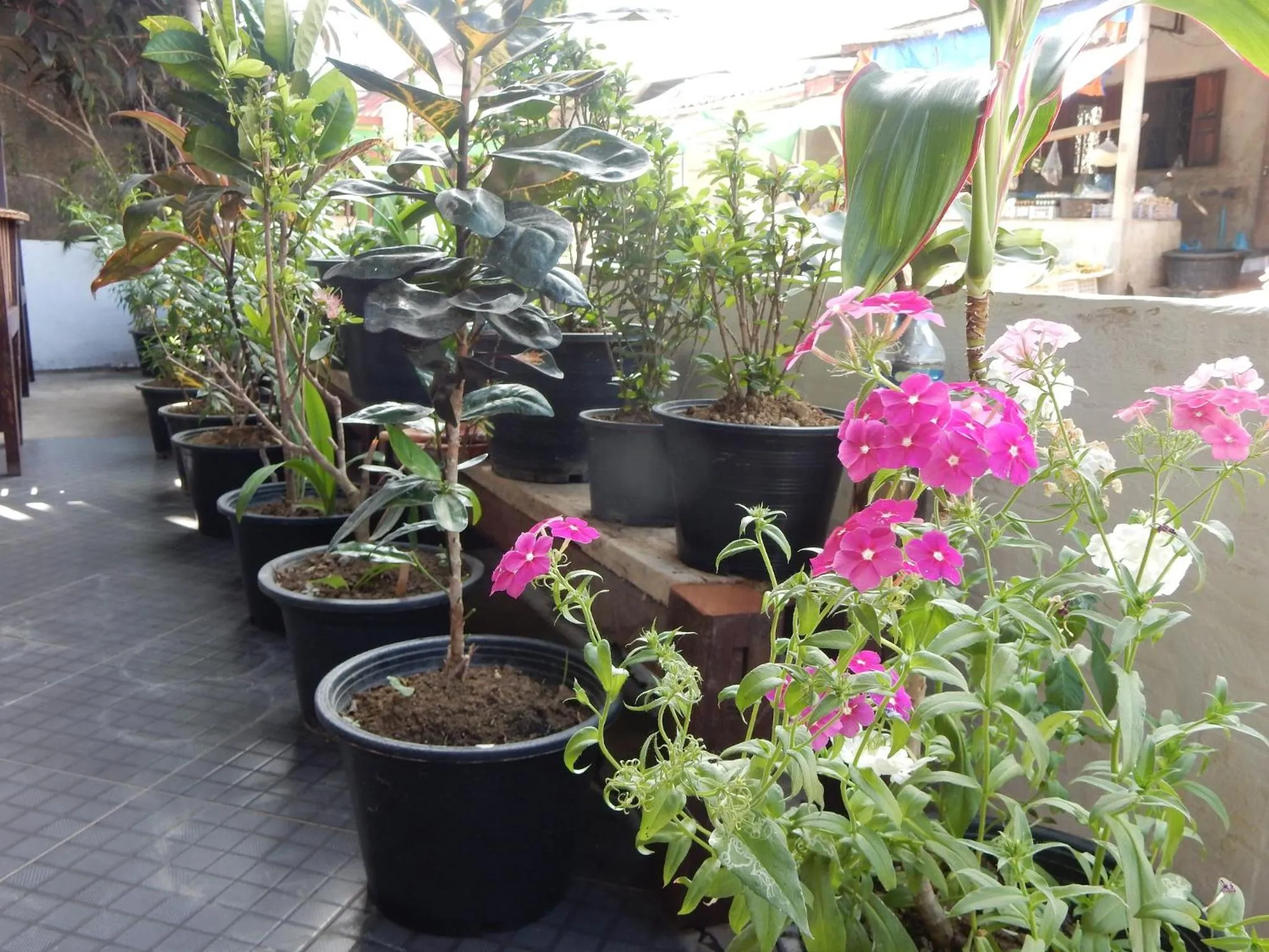 Lobby or reception in Vang Vieng Camellia Hotel