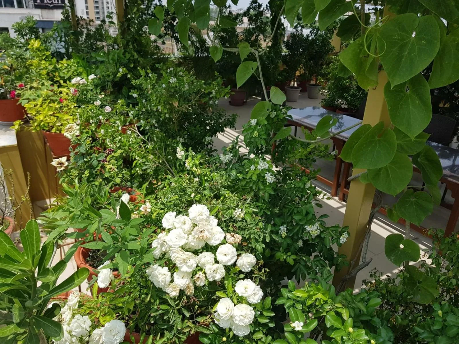 Property building in Jeenmount Heritage Boutique Hotel