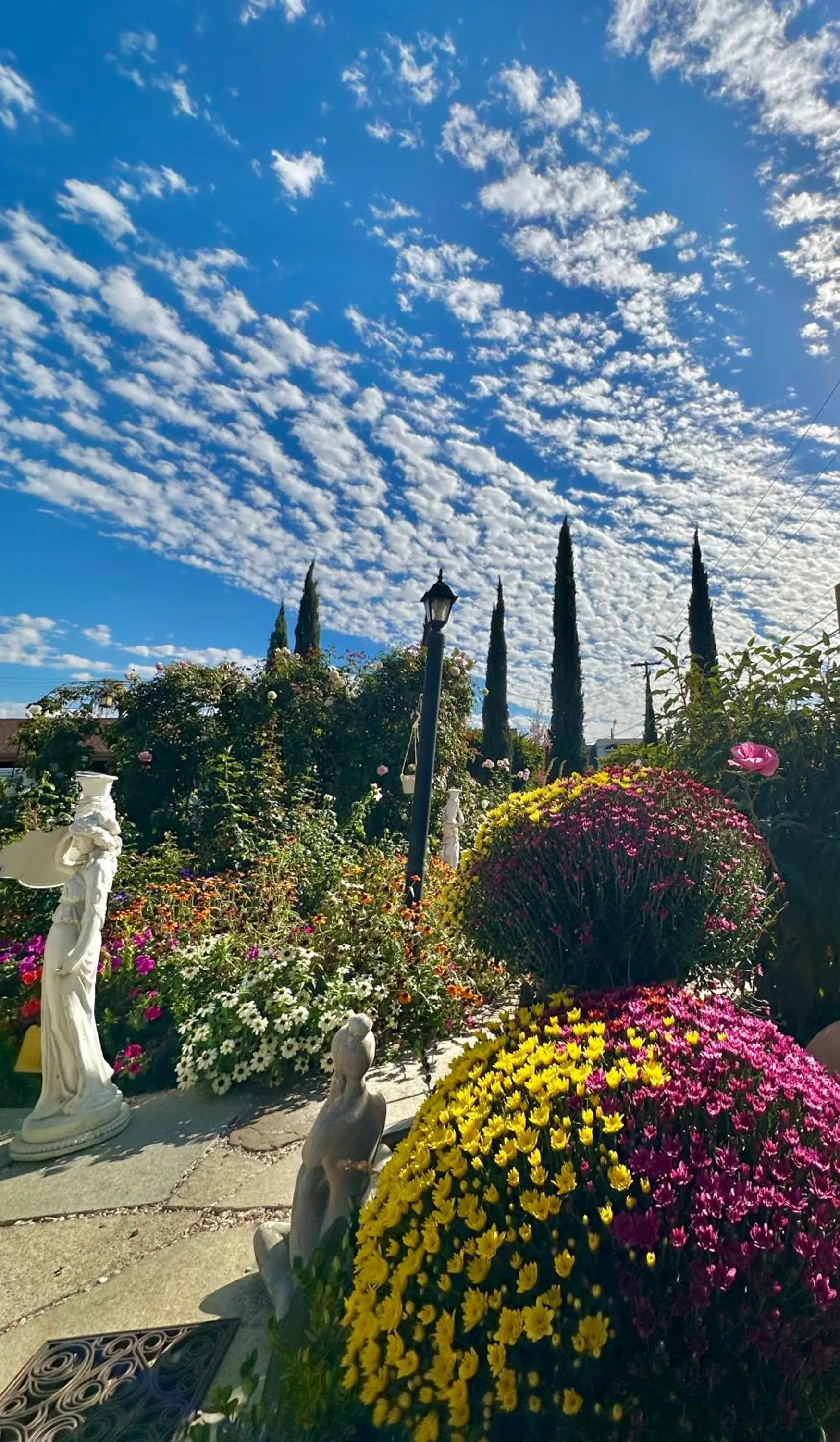 Garden in Chardonnay Lodge