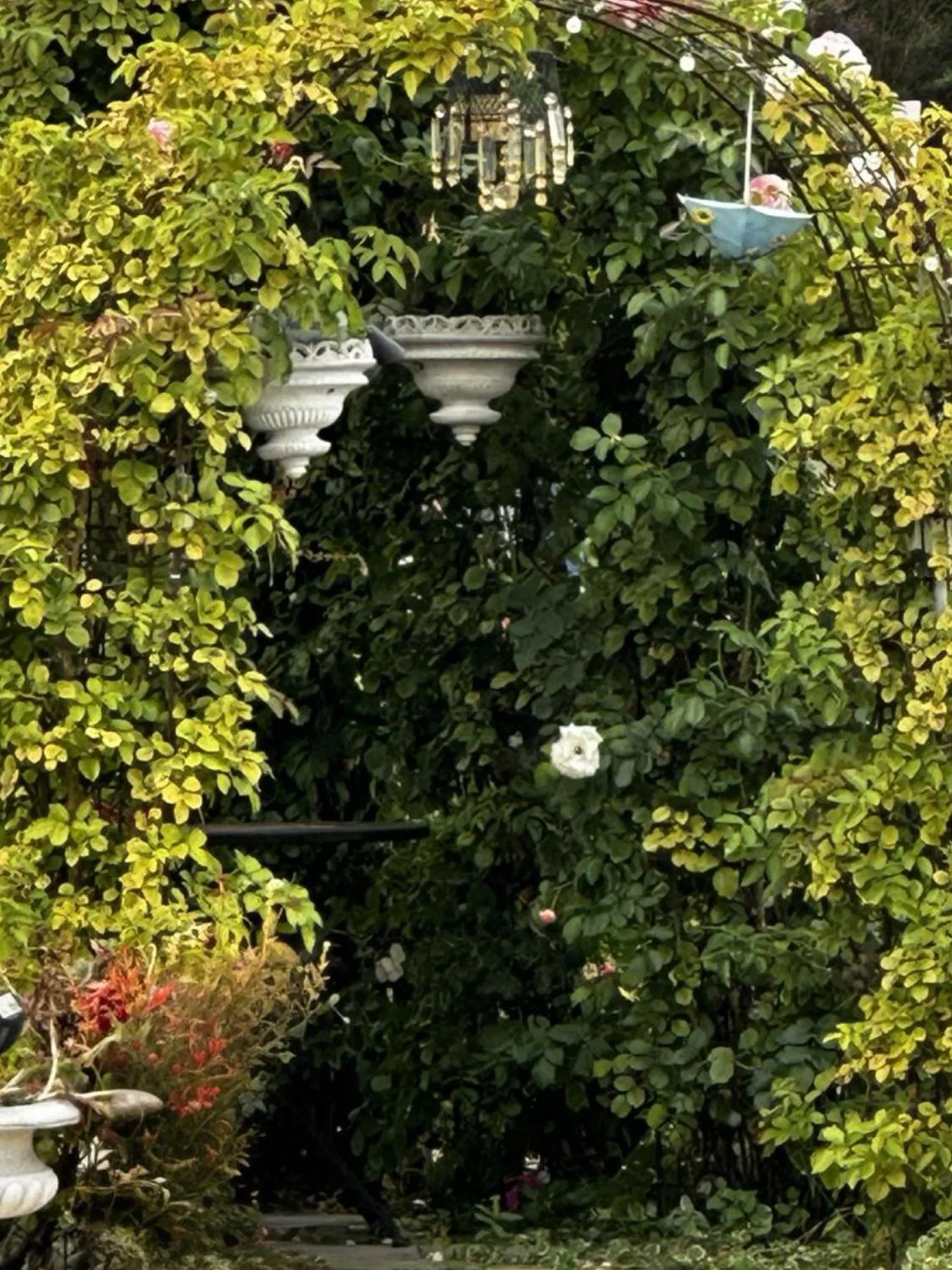 Property building in Chardonnay Lodge