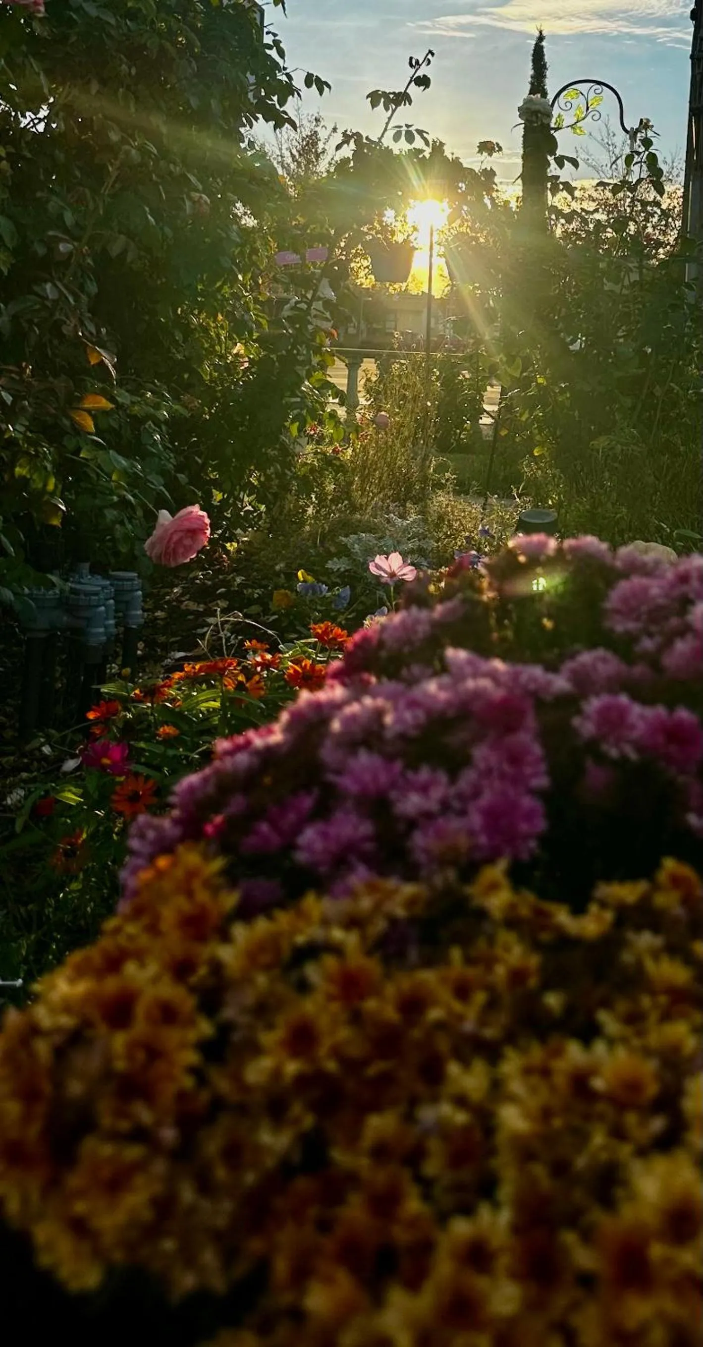 Natural landscape in Chardonnay Lodge