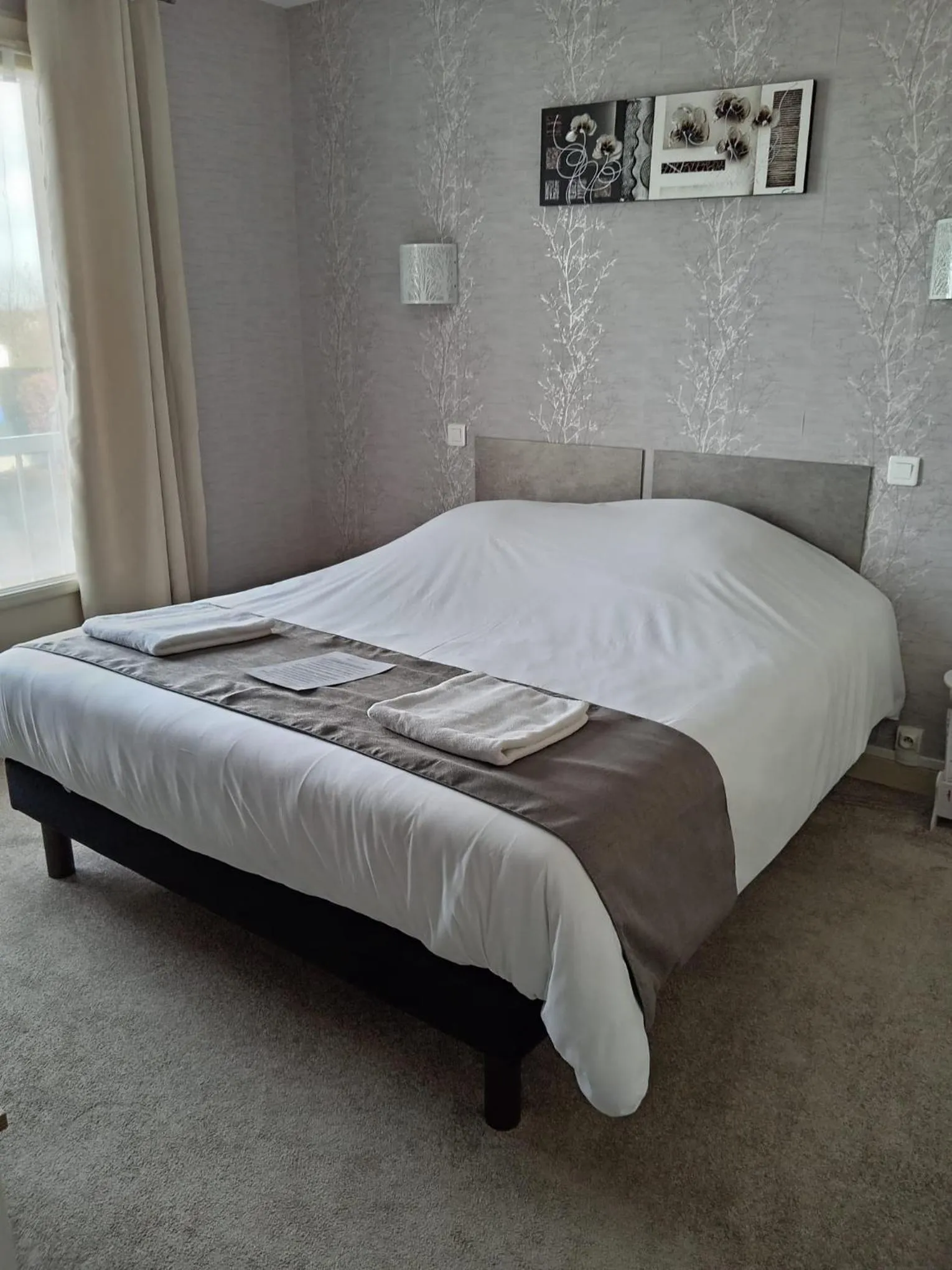 Bed in Hôtel Le Lyon Vert Commentry