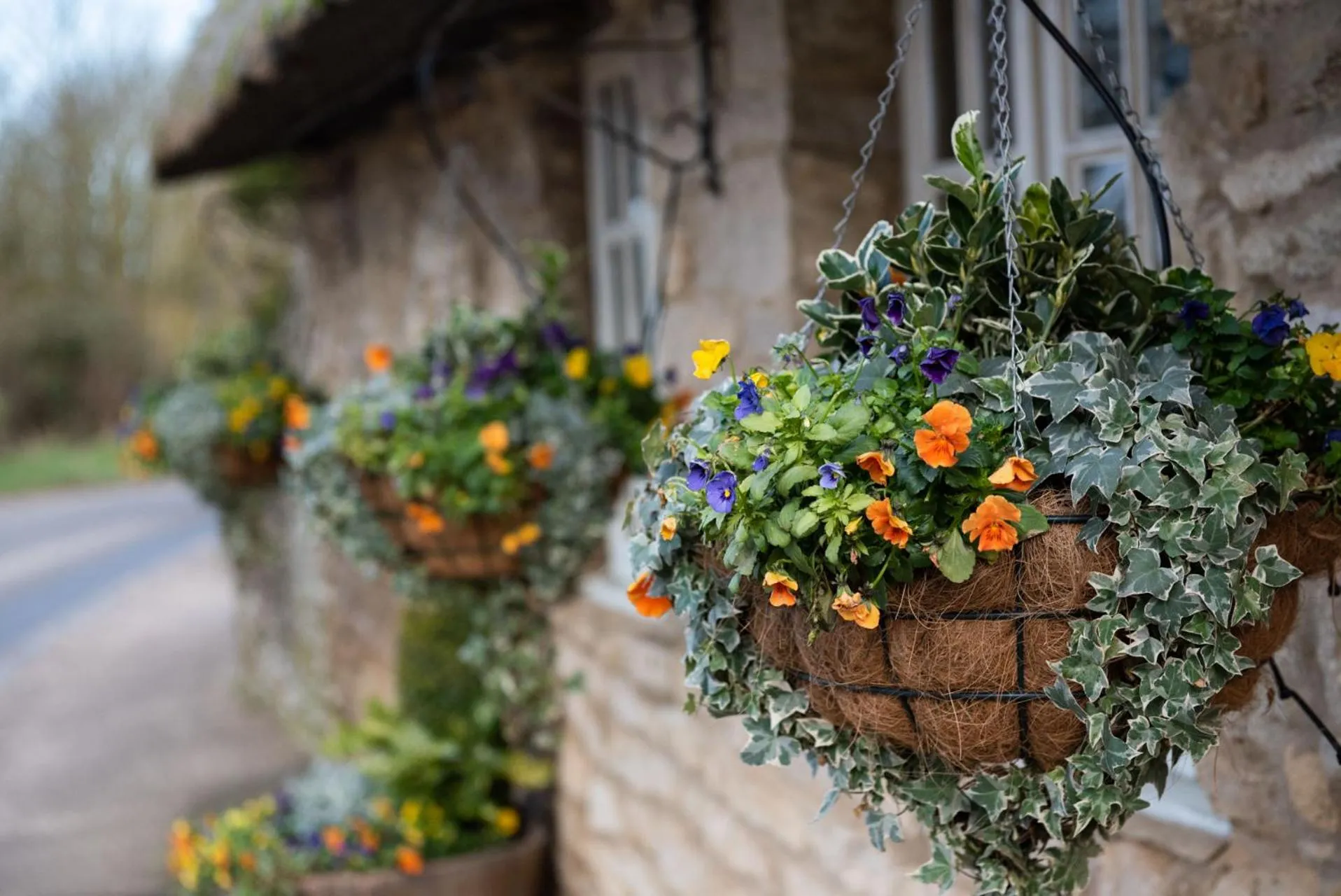 Garden in The Talkhouse