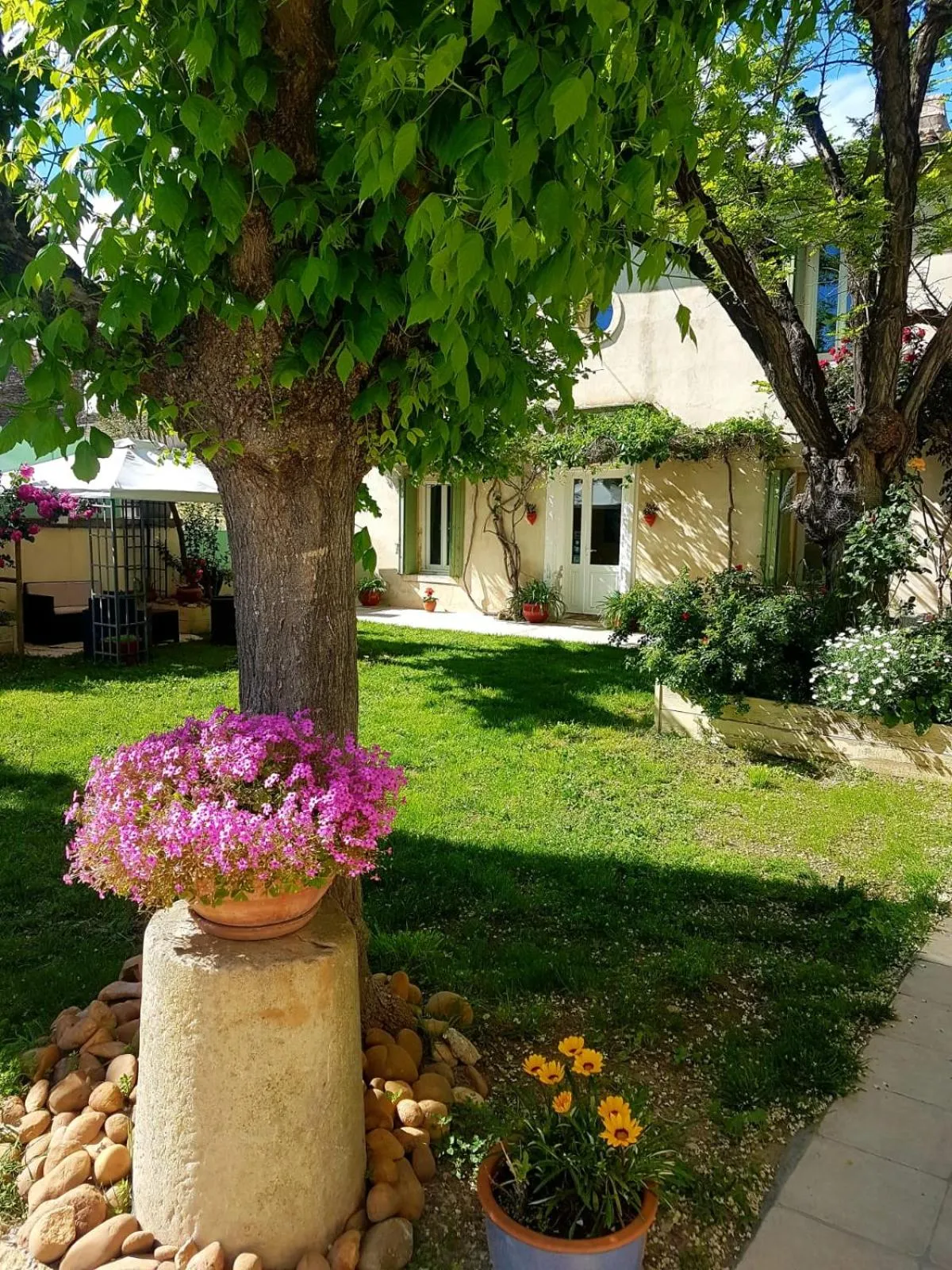 Garden view in Lacanepière