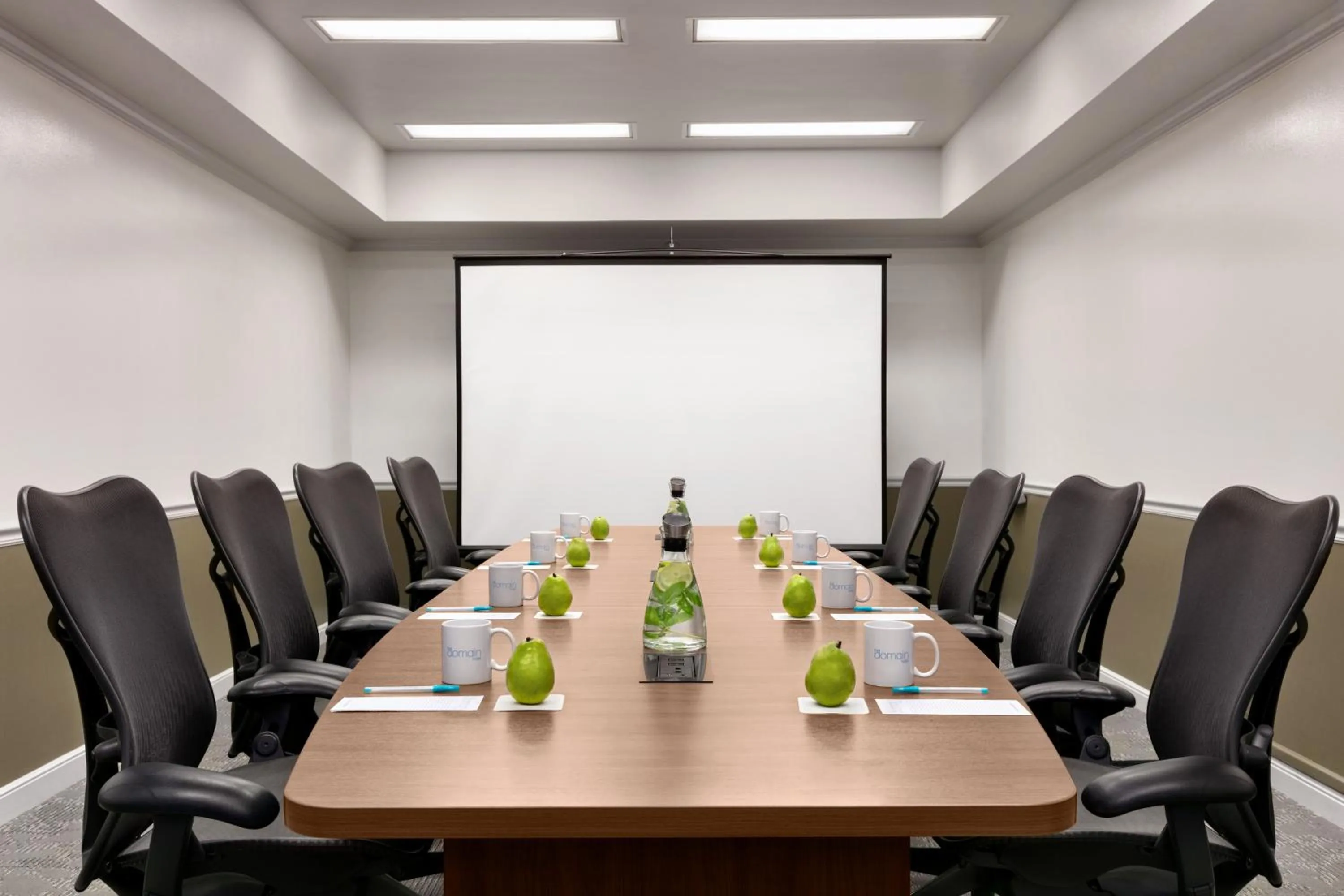 Business facilities in The Domain Hotel