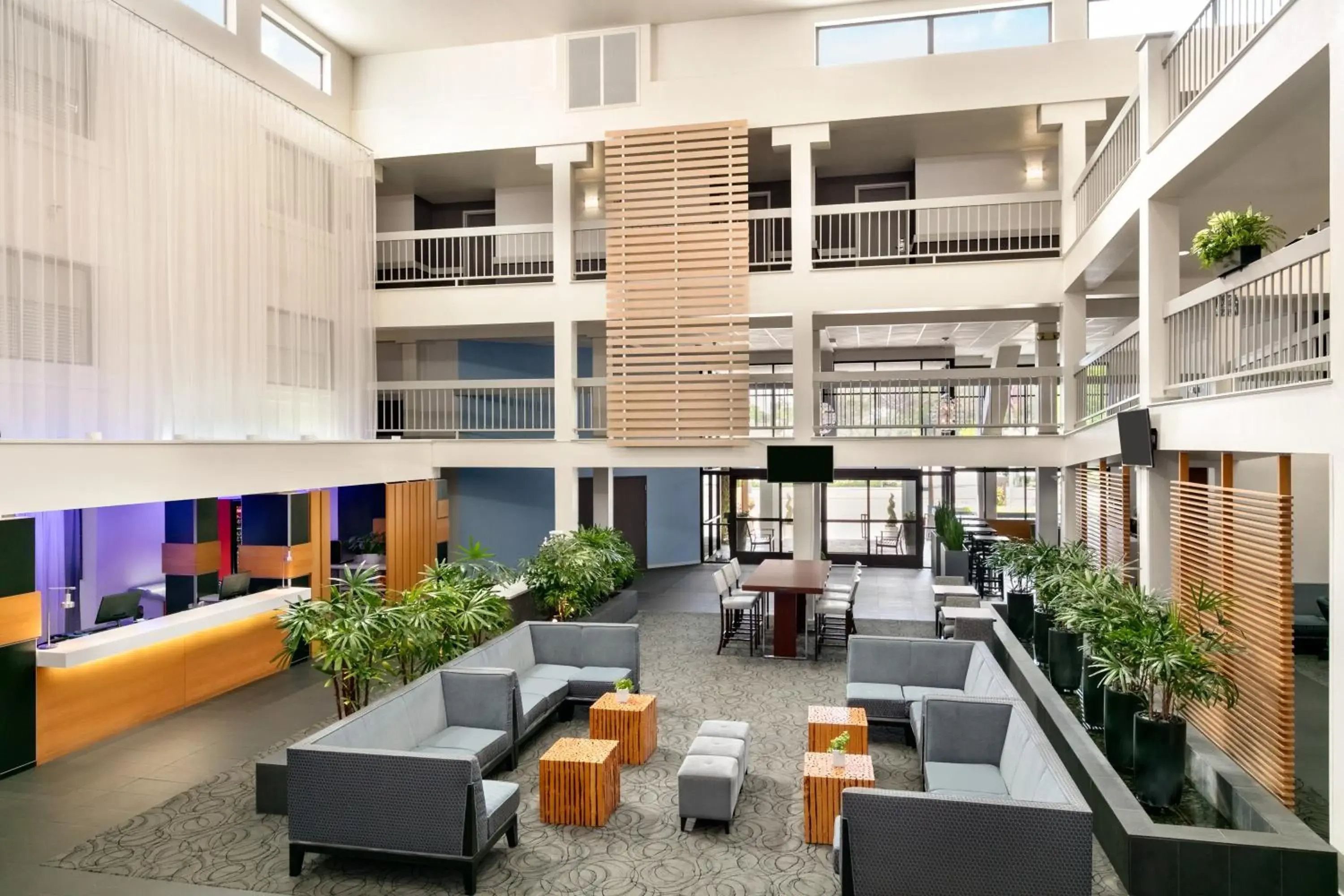 Lobby or reception in The Domain Hotel Lobby or reception in The Domain Hotel