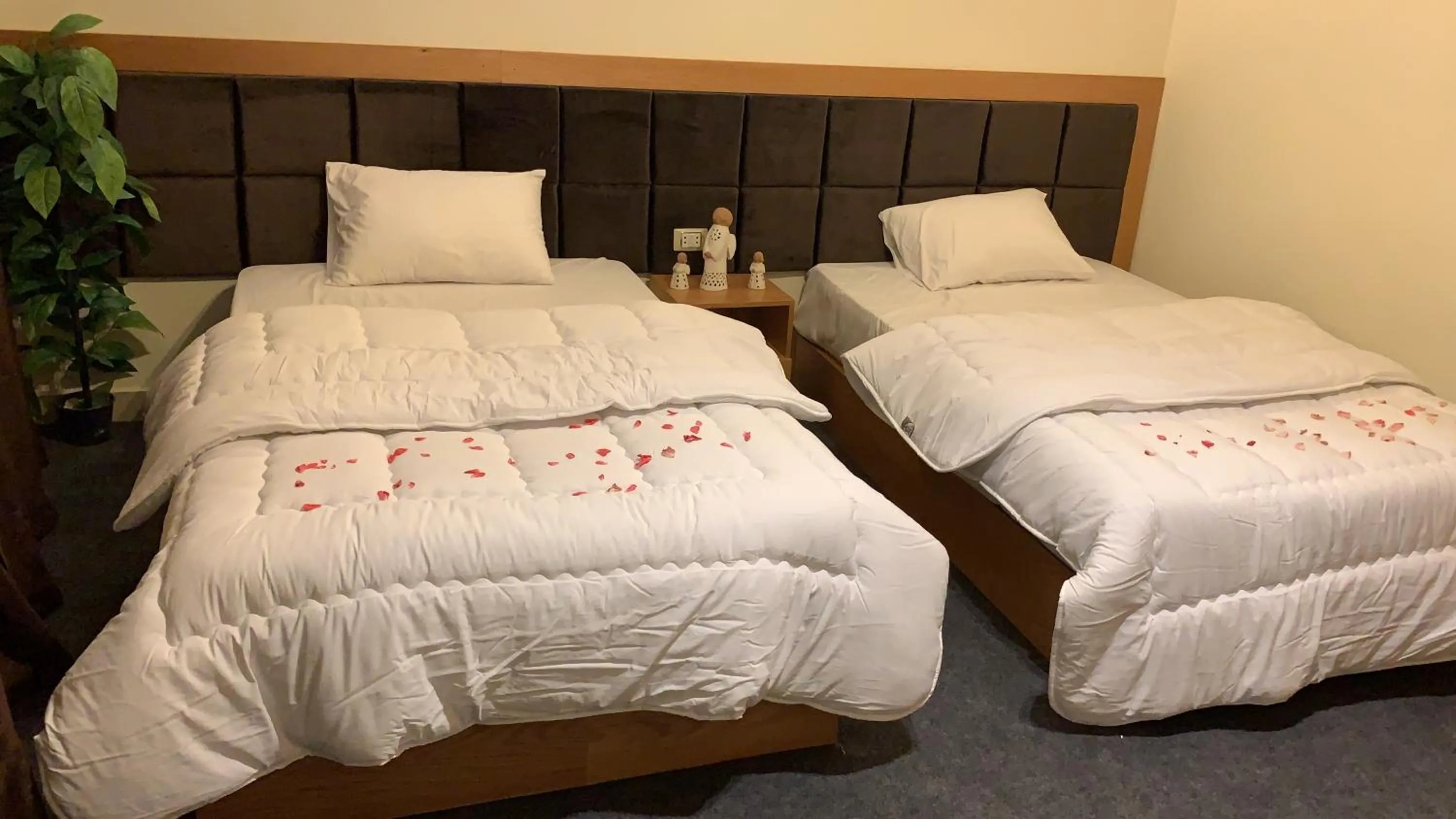 Bed in Draz pyramids view Bed & breakfast