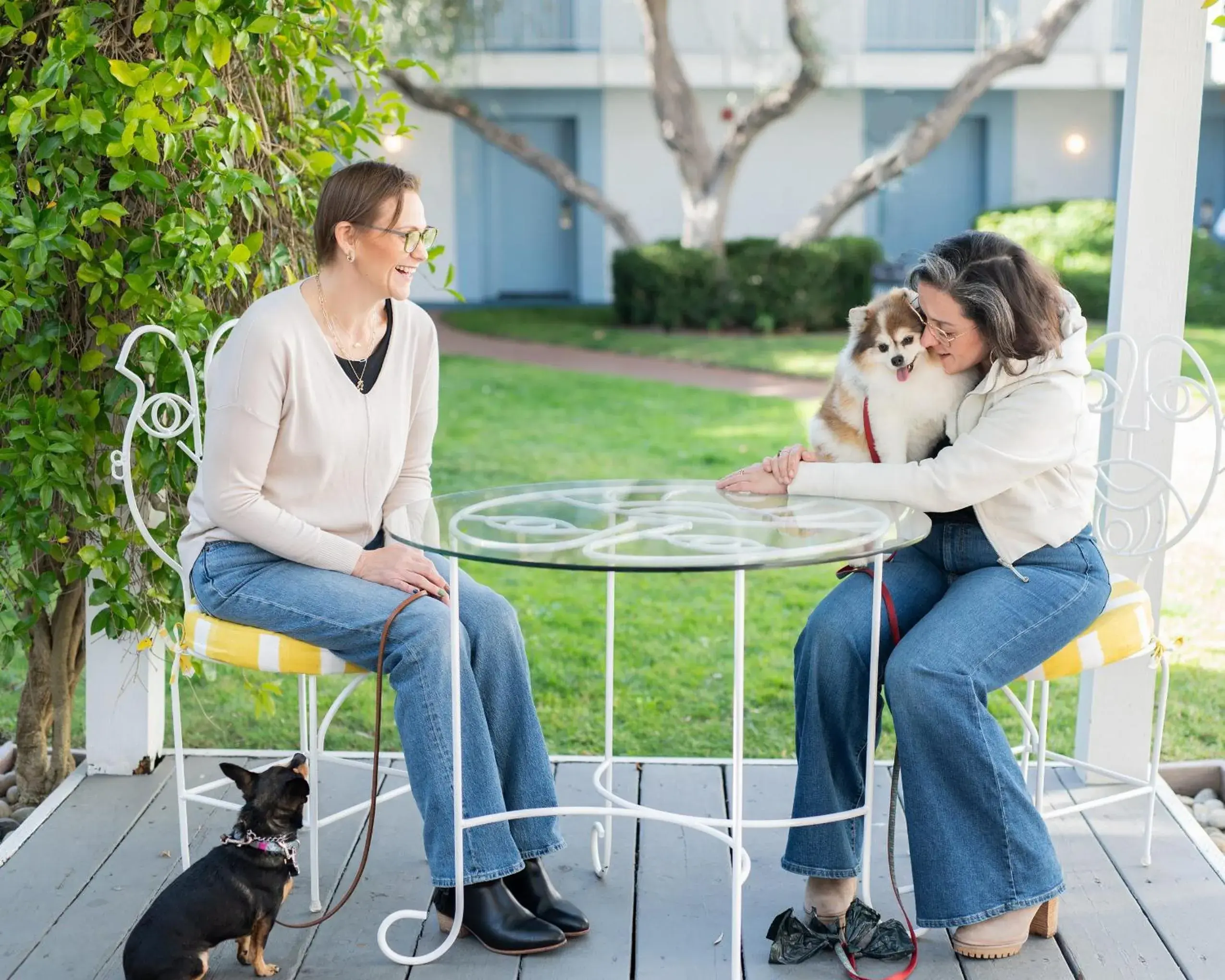 Pets in Wild Palms, a JdV by Hyatt Hotel Pets in Wild Palms, a JdV by Hyatt Hotel