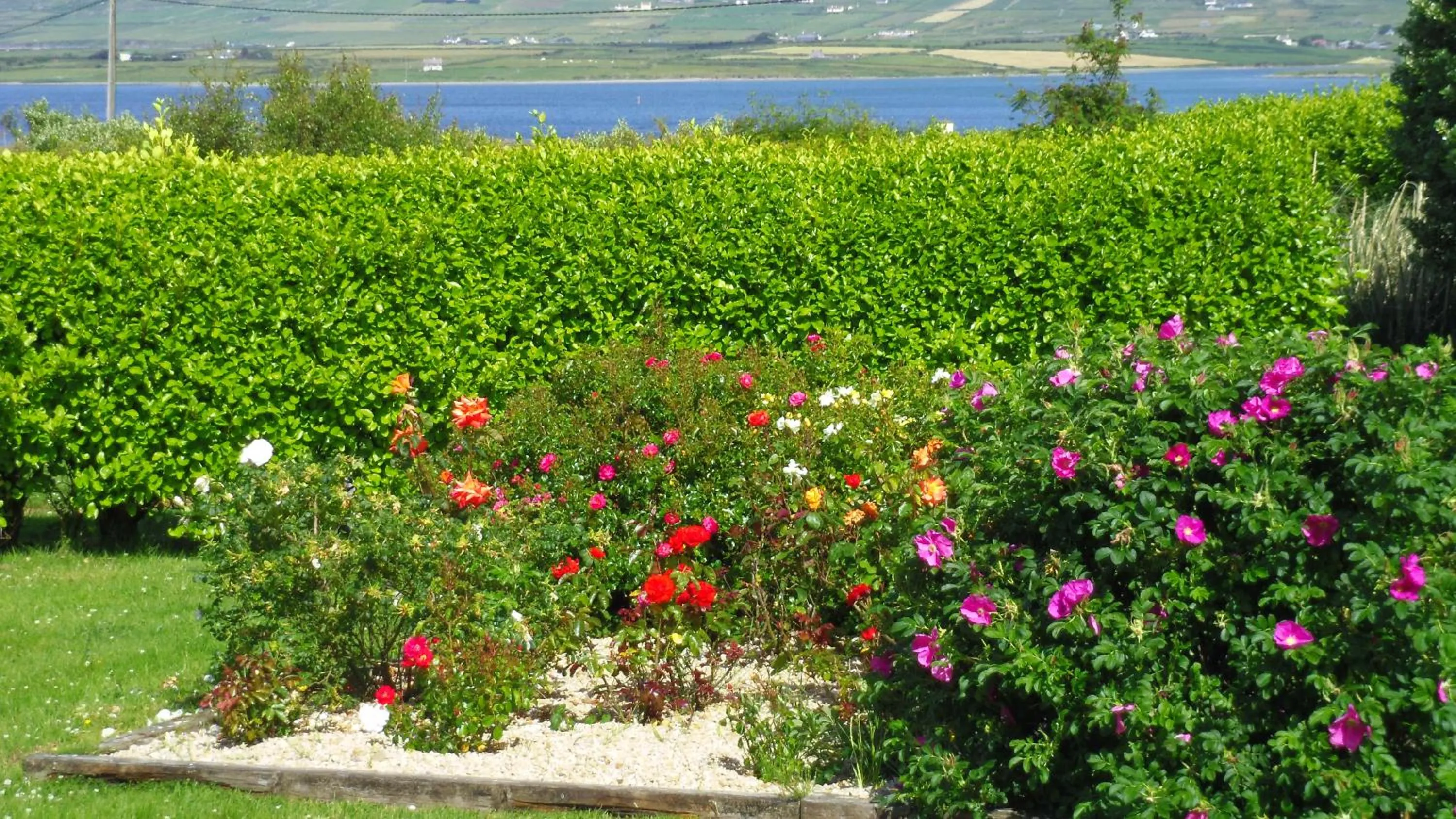 Garden in Cúl Draíochta B&B V23D540