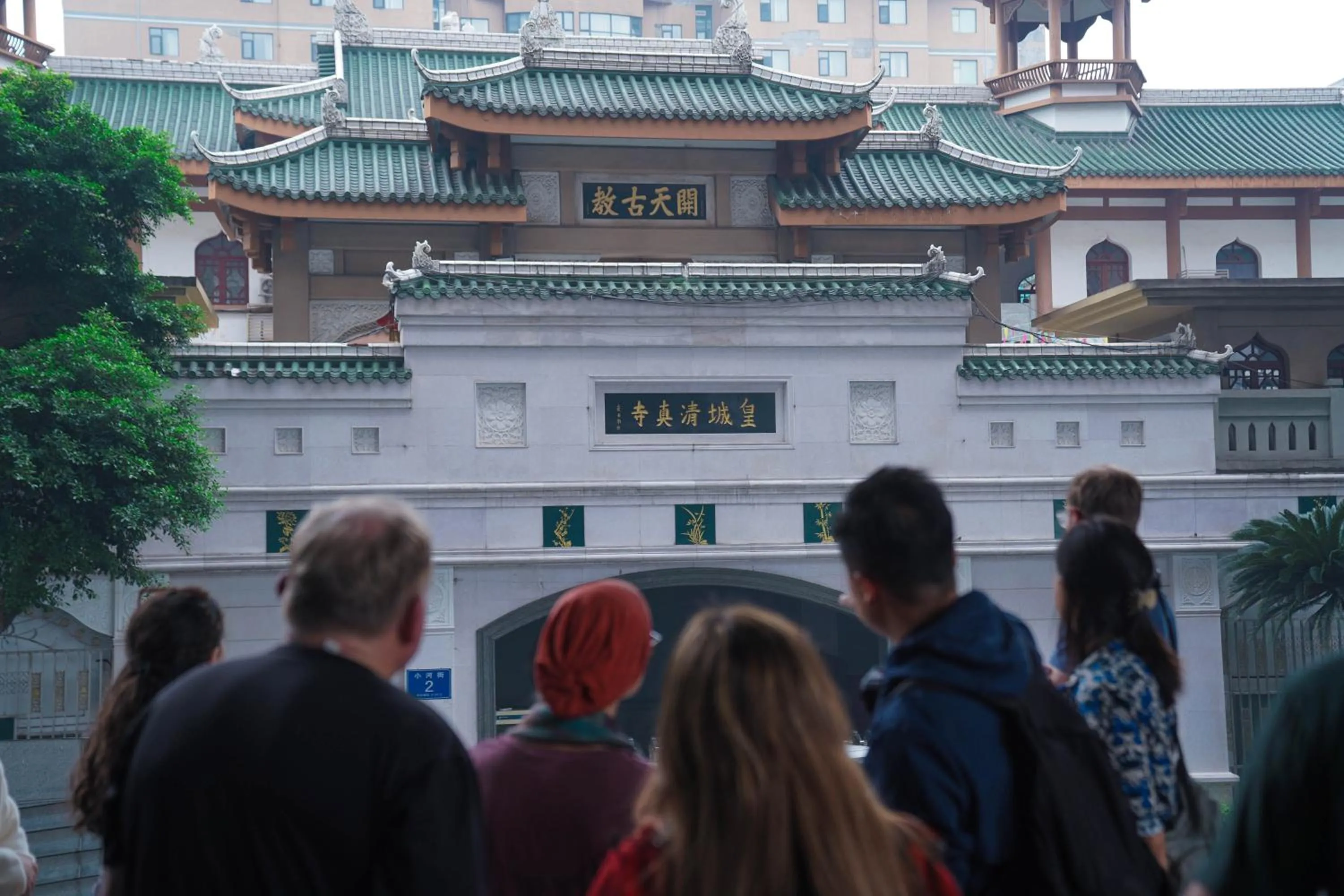 Activities in Chengdu Local Tea Hostel - Short Walk To Taikooli - Chill & Social Coffee Lounge - Metro downstairs - Free Activities - Friendly English Speaking Staff - Tibet, Panda, Buddha & Snow Mountain Tours