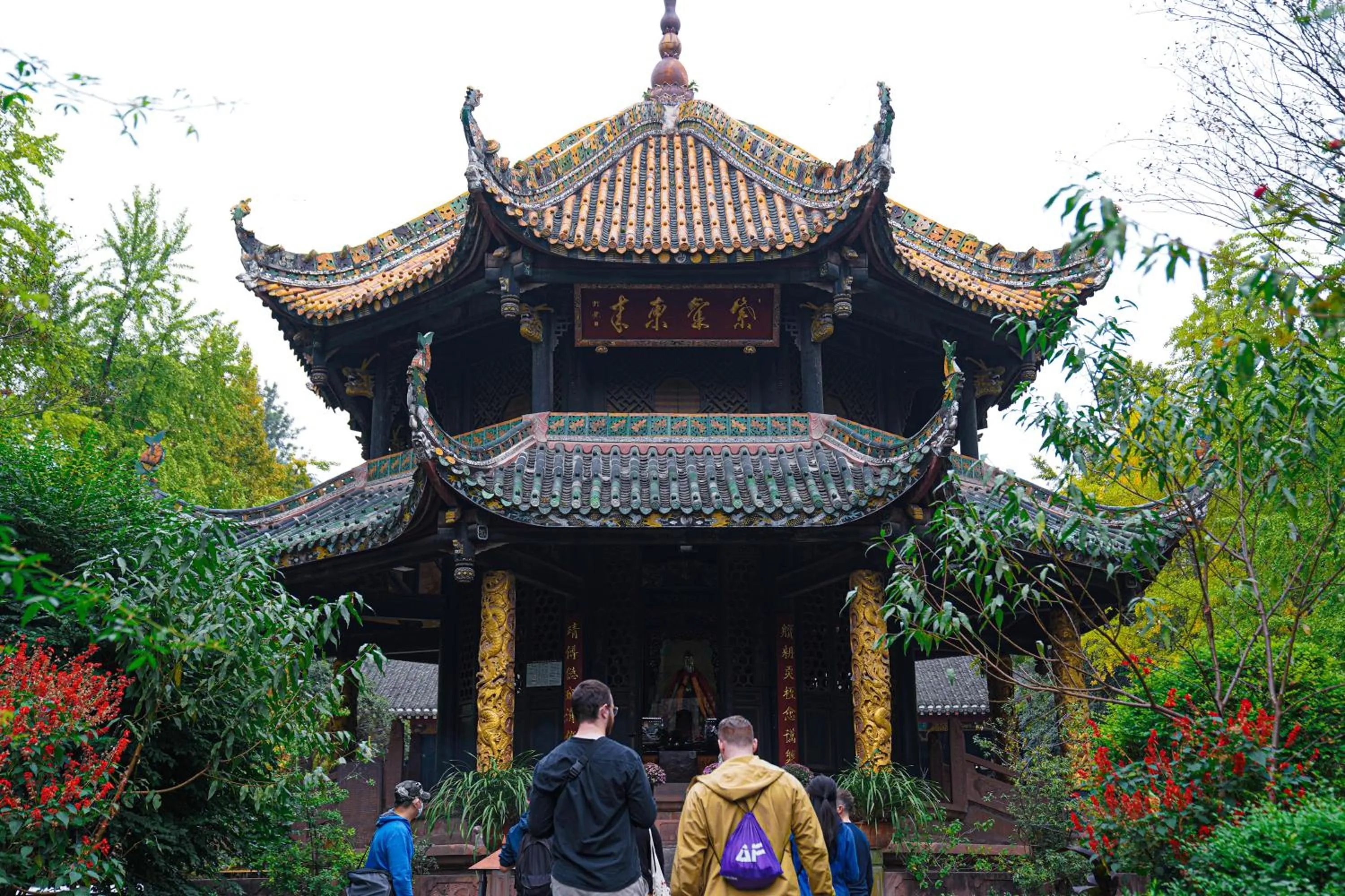 Activities in Chengdu Local Tea Hostel - Short Walk To Taikooli - Chill & Social Coffee Lounge - Metro downstairs - Free Activities - Friendly English Speaking Staff - Tibet, Panda, Buddha & Snow Mountain Tours